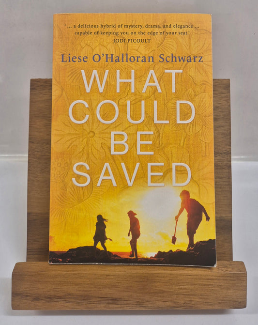 What Could Be Saved by Liese O'Halloran Schwarz