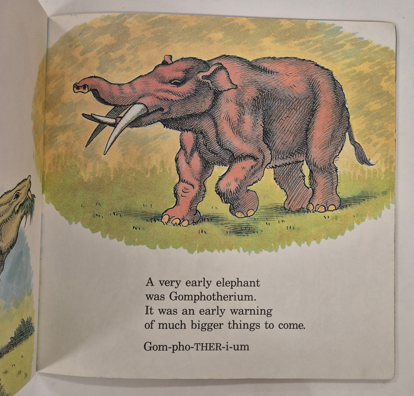 After the Dinosaurs by Stan & Jan Berenstain