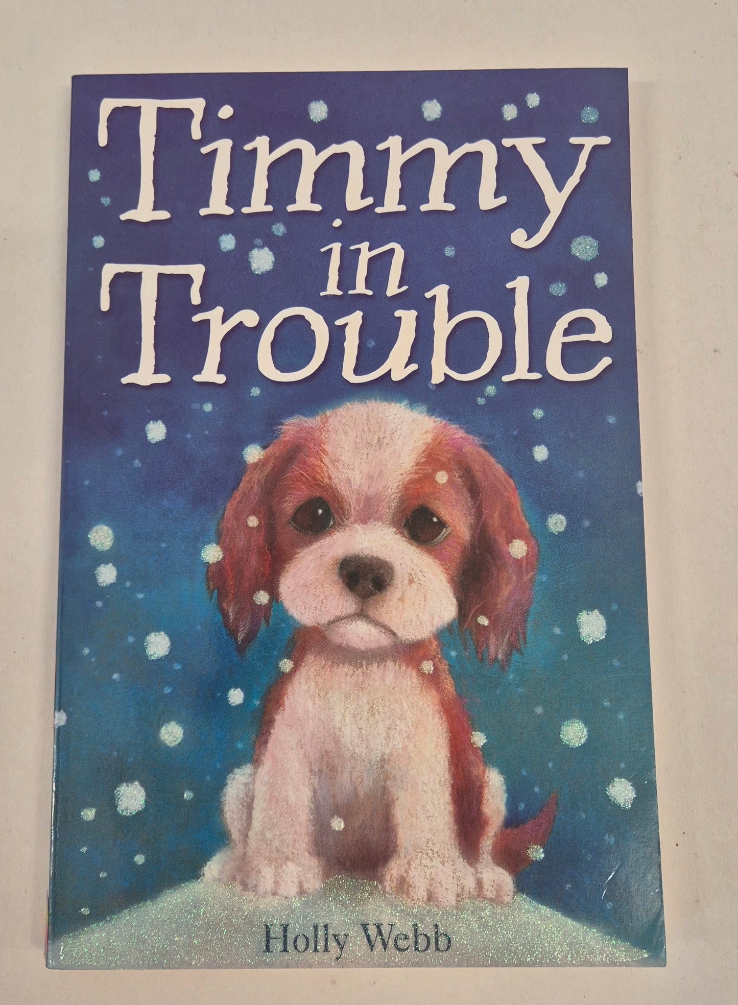 Timmy in Trouble (Animal Stories #13) by Holly Webb
