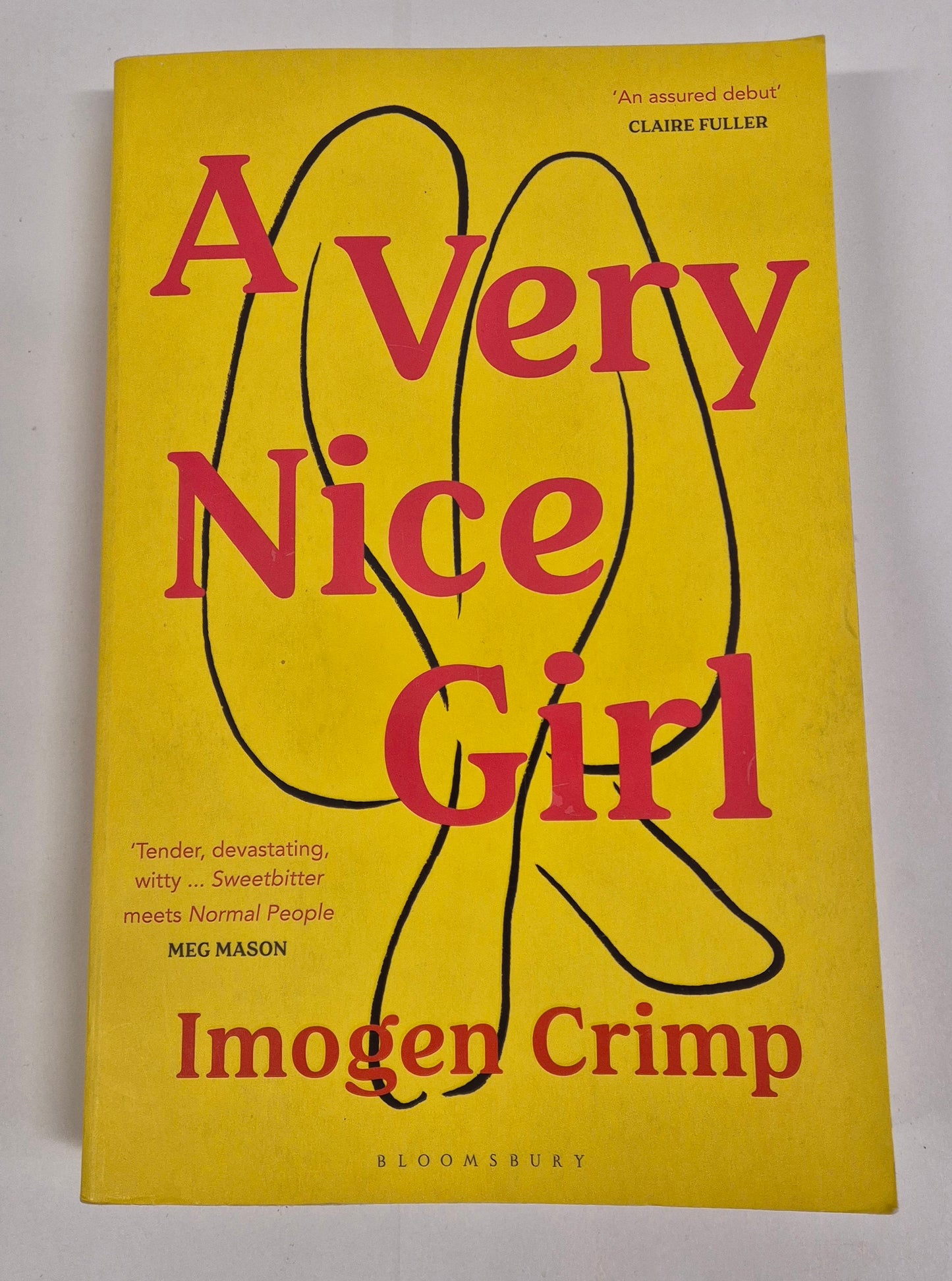 A Very Nice Girl by Imogen Crimp