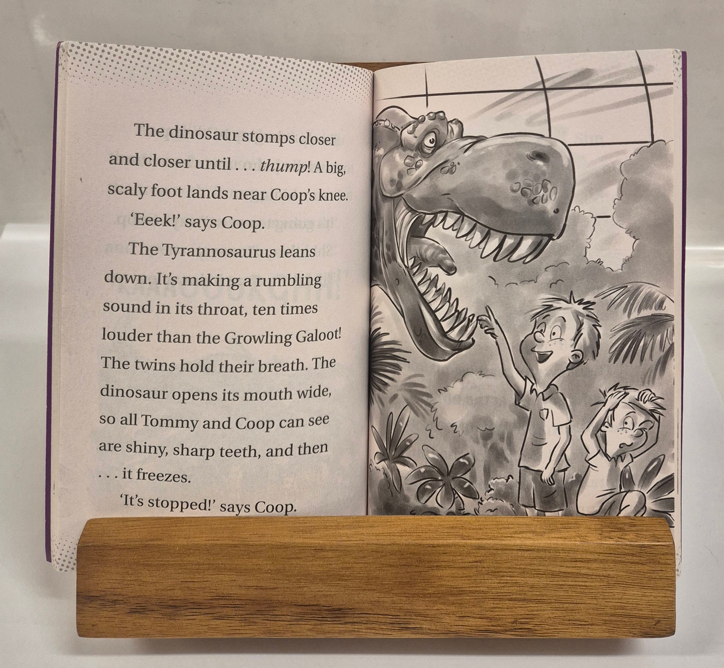 Dinosaur Danger (Double Trouble #3) by Sarah Fraser