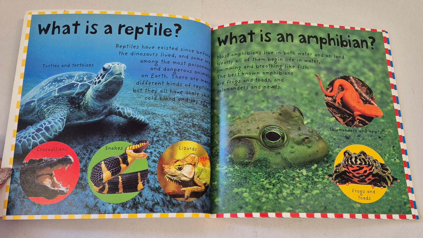 Smart Kids: Reptiles and Amphibians by Roger Priddy