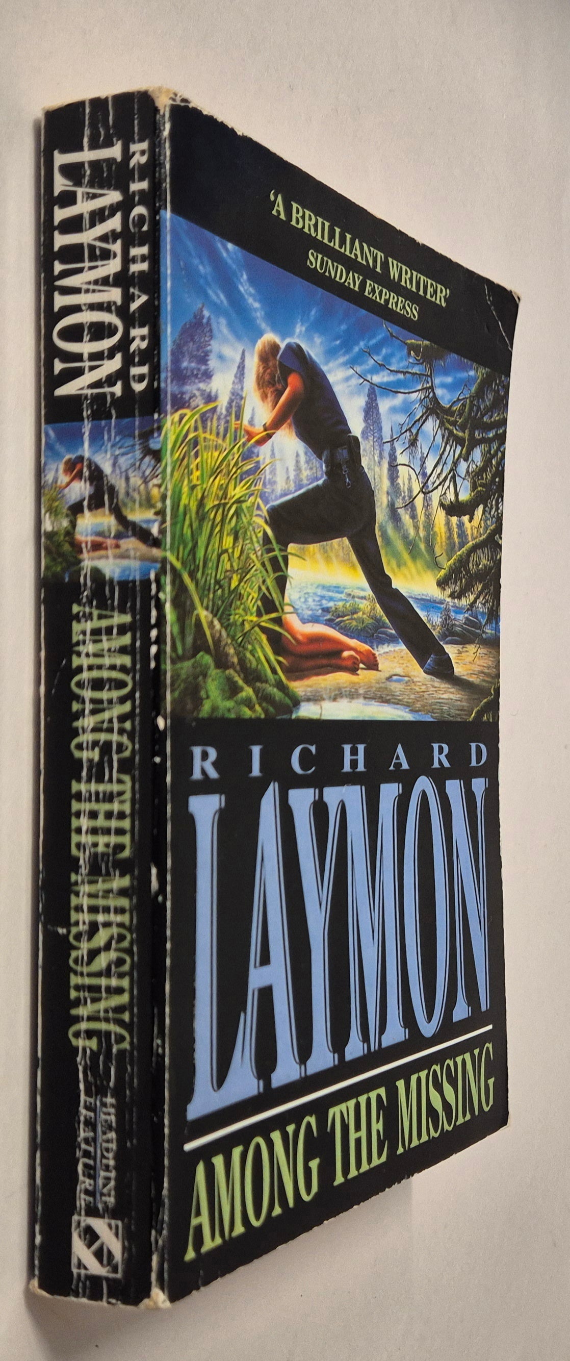 Among the Missing by Richard Laymon