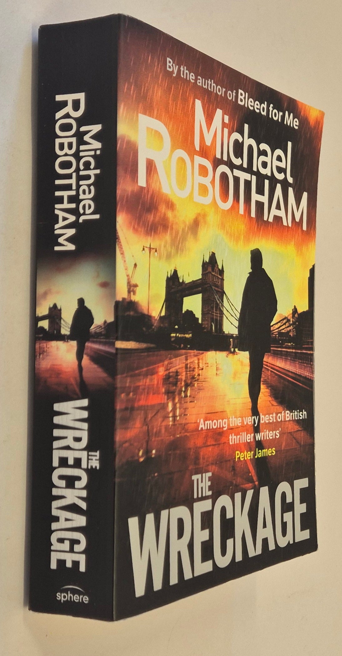 The Wreckage (Joseph O'Loughlin #5) by Michael Robotham