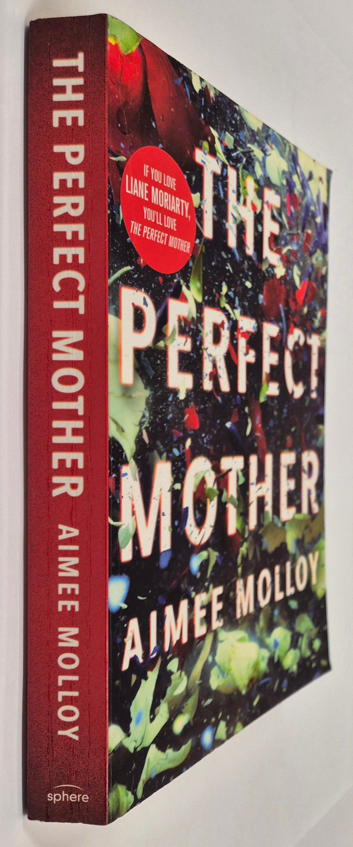 The Perfect Mother by Aimee Molloy