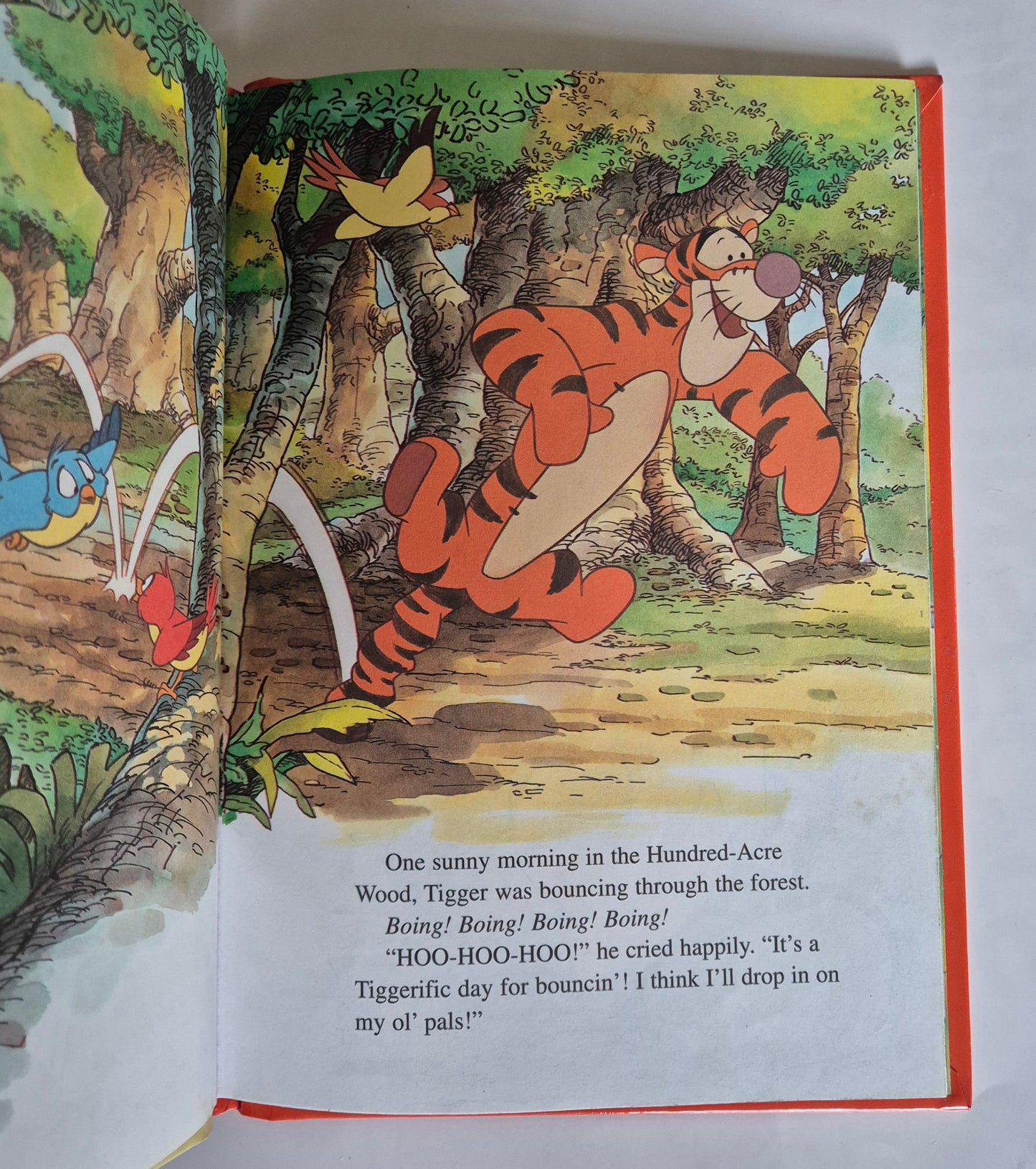 Disney's Wonderful World of Reading: Winnie the Pooh and Tigger Too