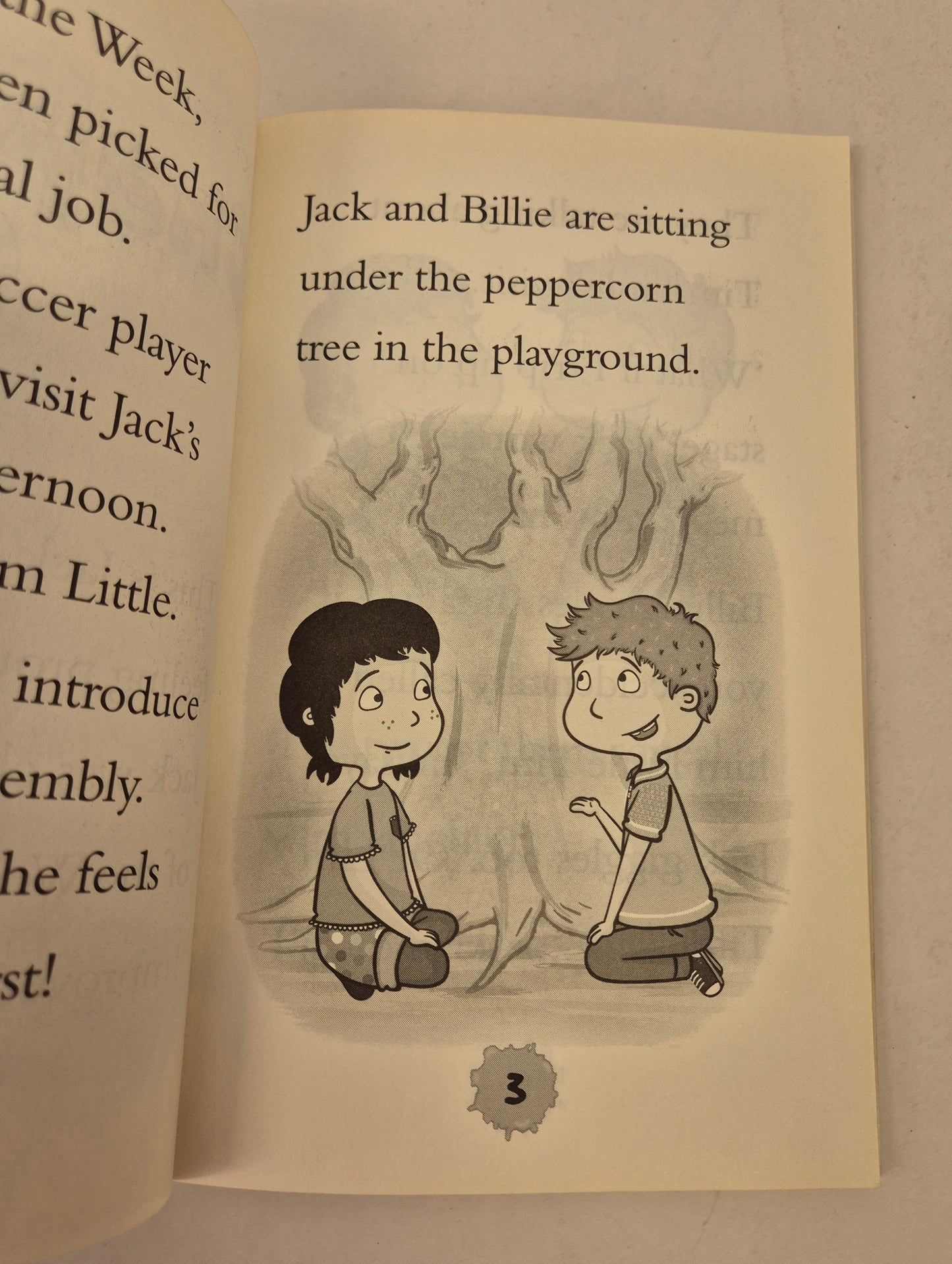 The Star of the Week (Hey Jack! #20) by Sally Rippin (Signed by the Author)