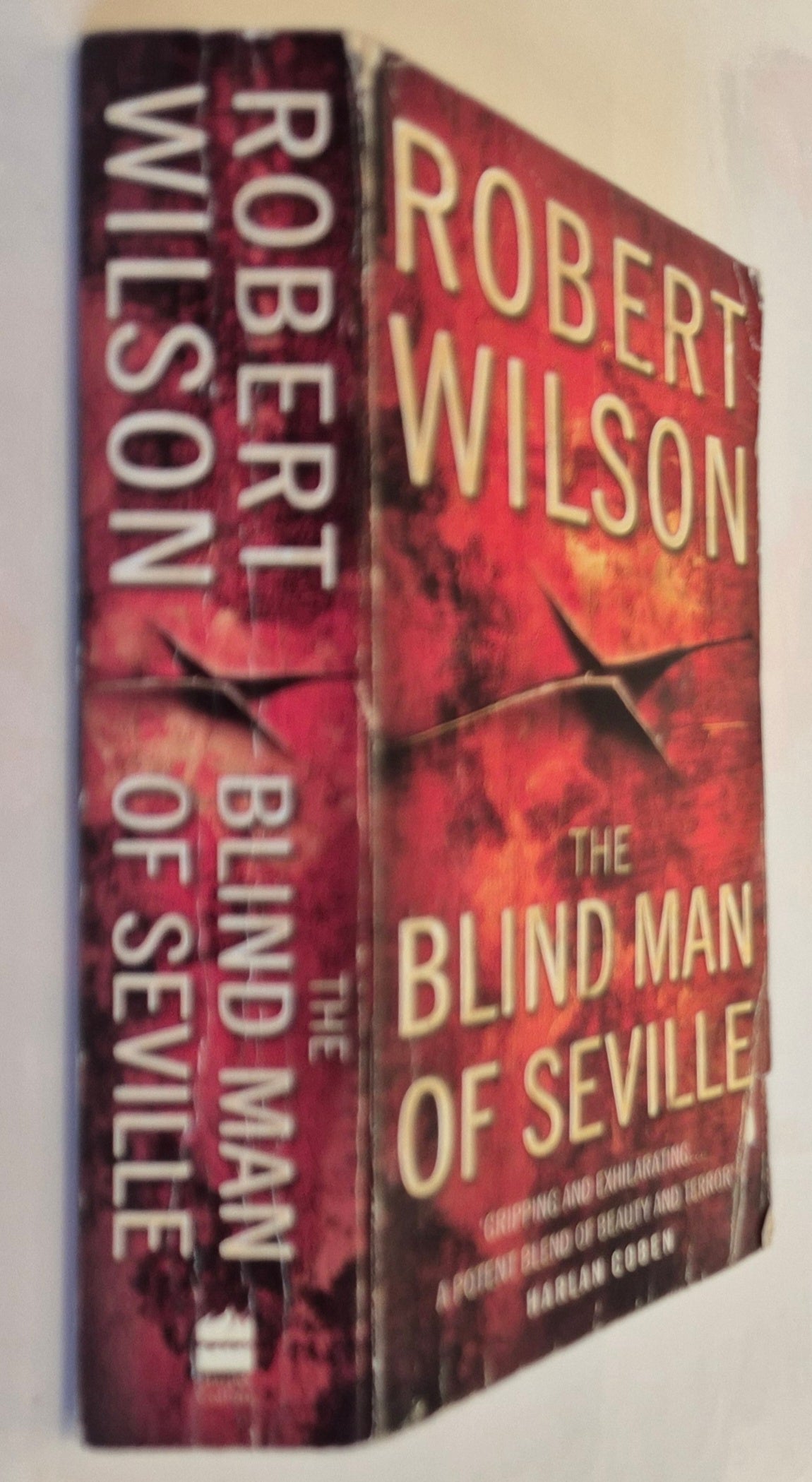The Blind Man of Seville (Javier Falcon #1) by Robert Wilson