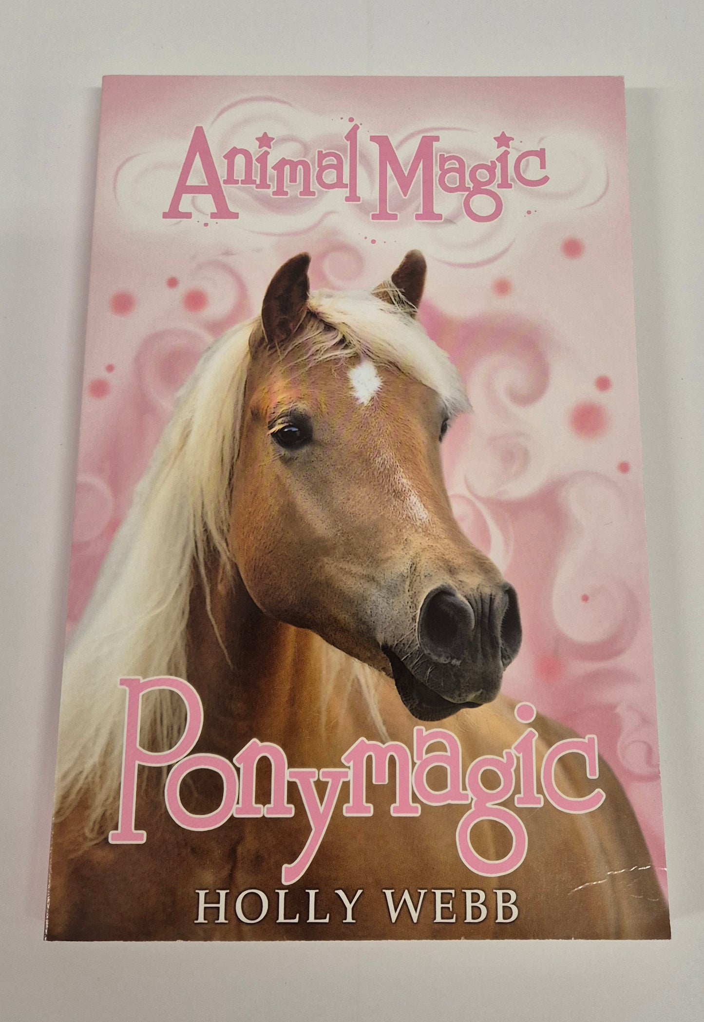 Ponymagic (Animalmagic #6) by Holly Webb