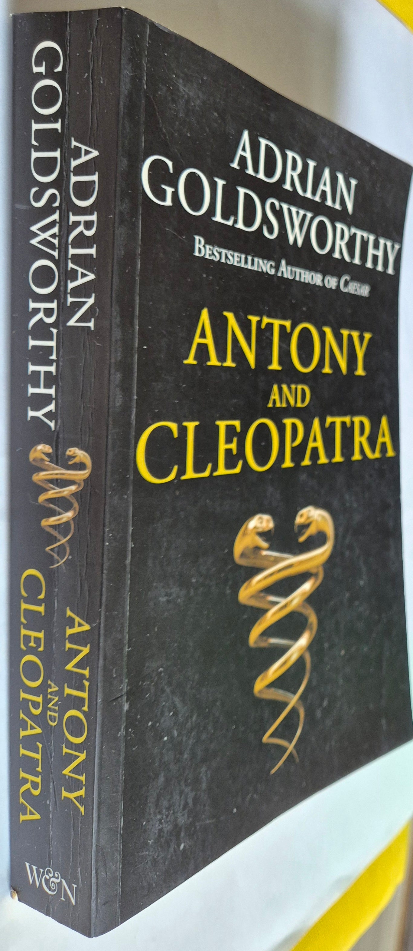 Antony and Cleopatra by Adrian Goldsworthy
