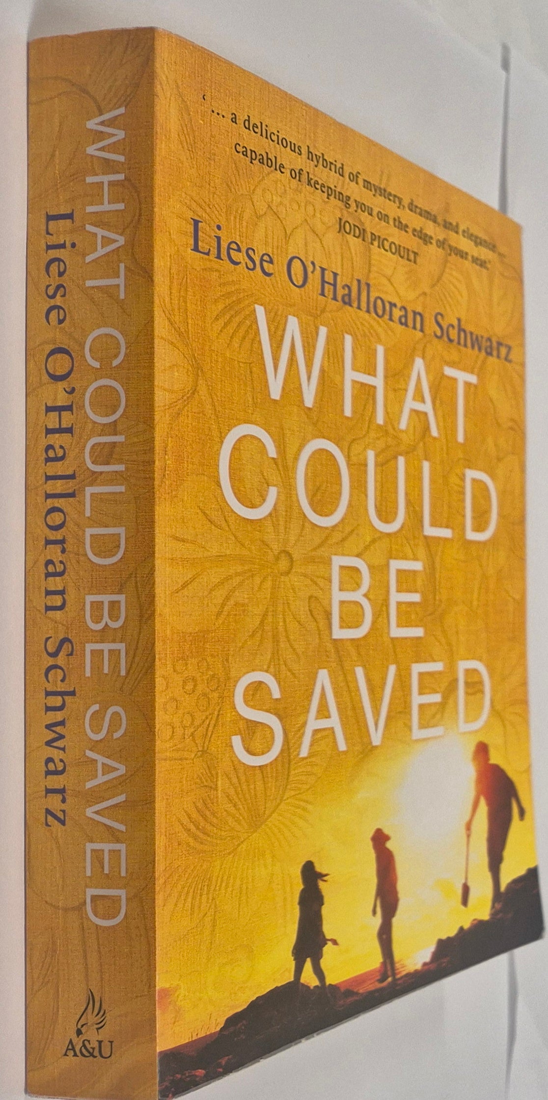 What Could Be Saved by Liese O'Halloran Schwarz