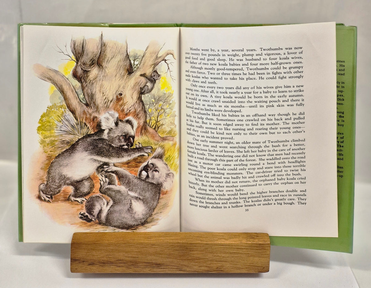 Two Thumbs the Koala by Leslie Rees