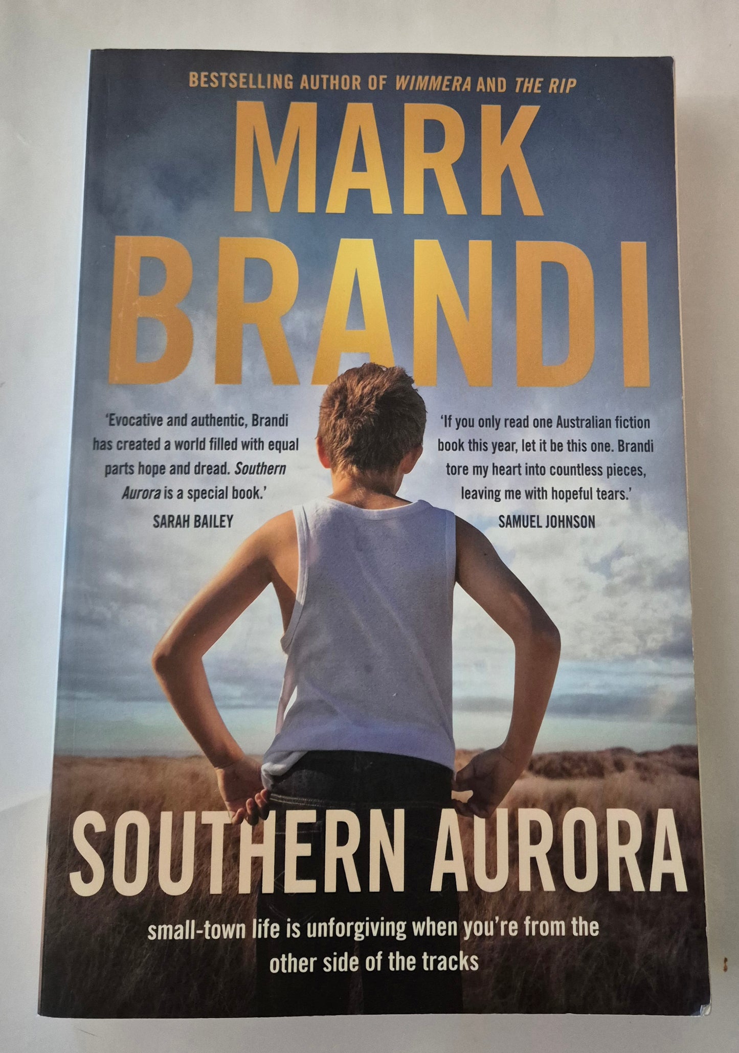 Southern Aurora by Mark Brandi