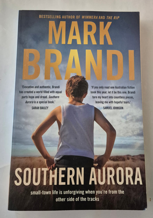 Southern Aurora by Mark Brandi