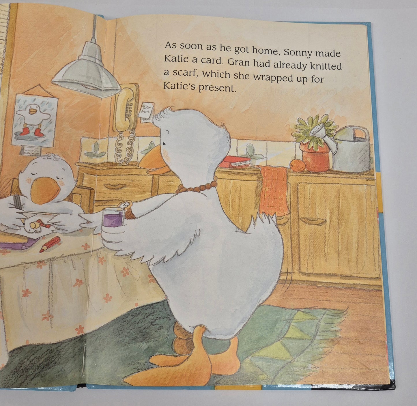 Sonny's Birthday Prize by Lisa Stubbs