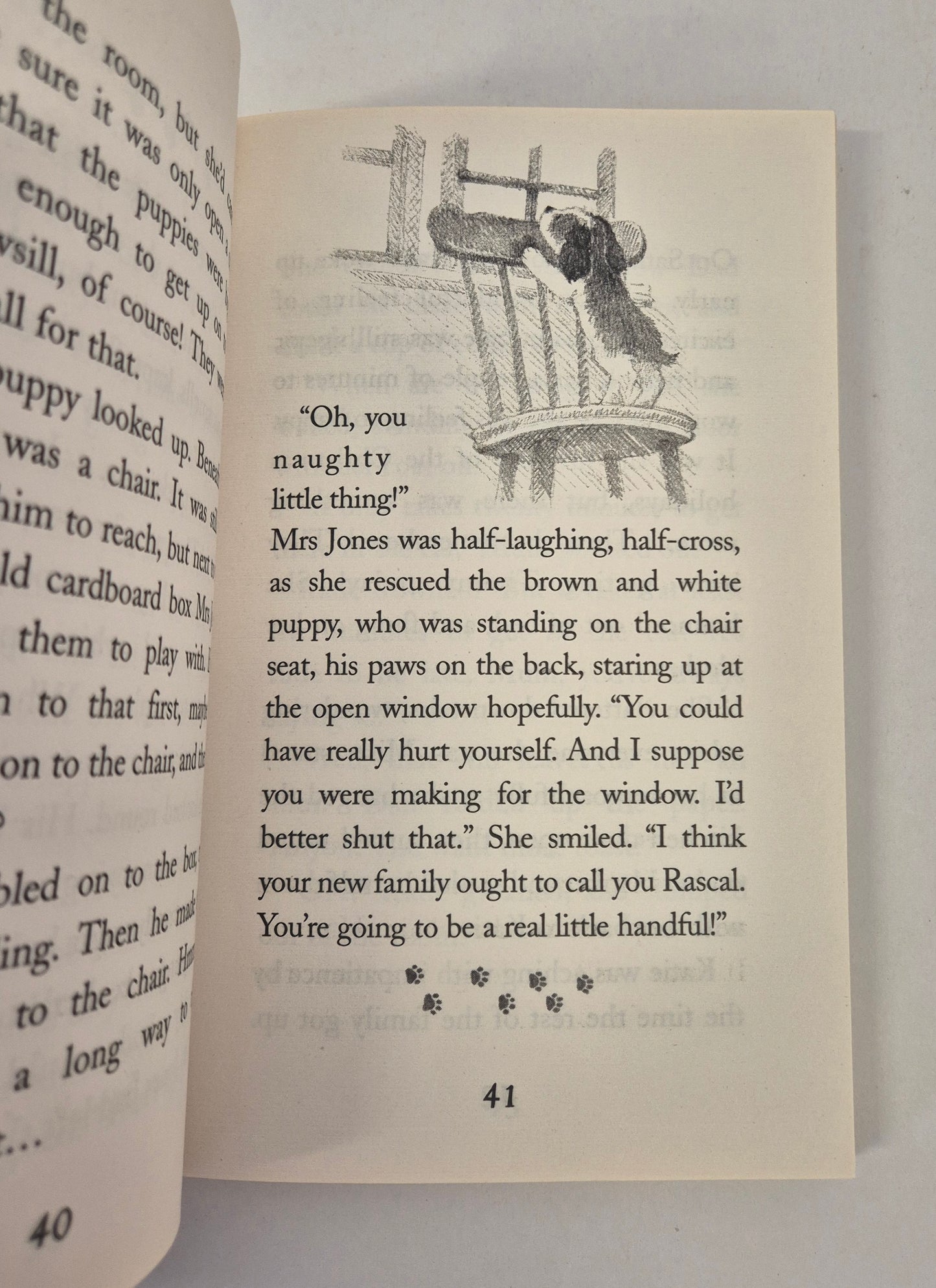Timmy in Trouble (Animal Stories #13) by Holly Webb