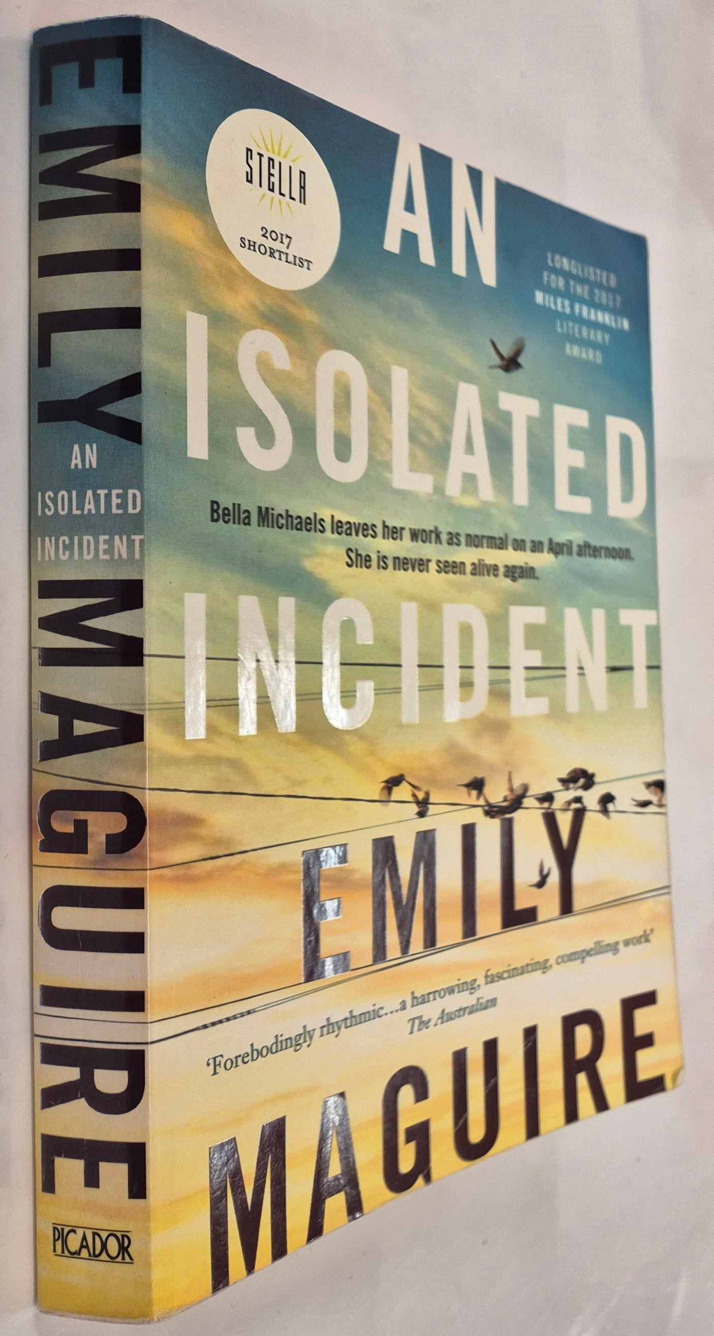An Isolated Incident by Emily Maguire