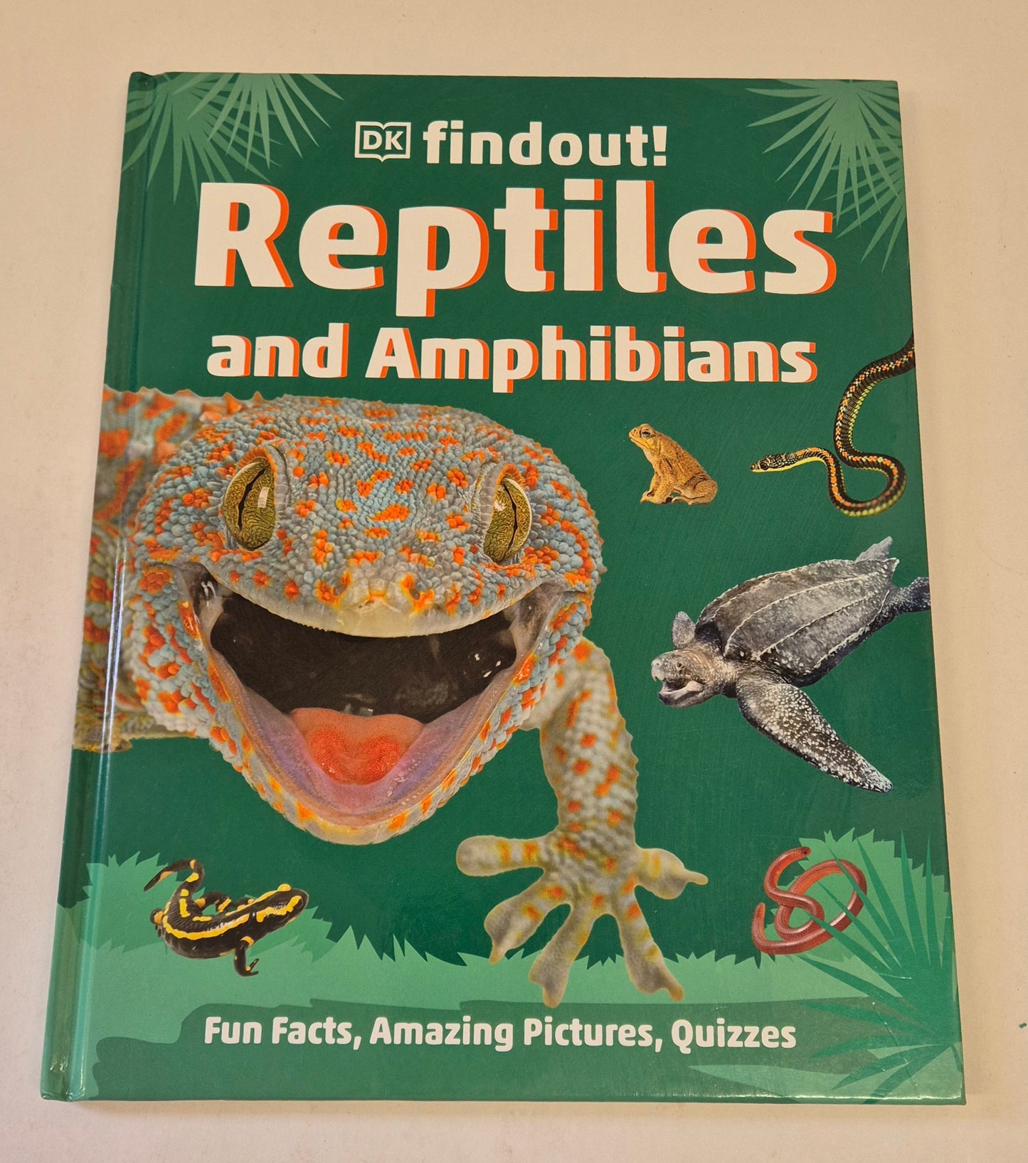 Findout! Reptiles and Amphibians by Chris Mattison