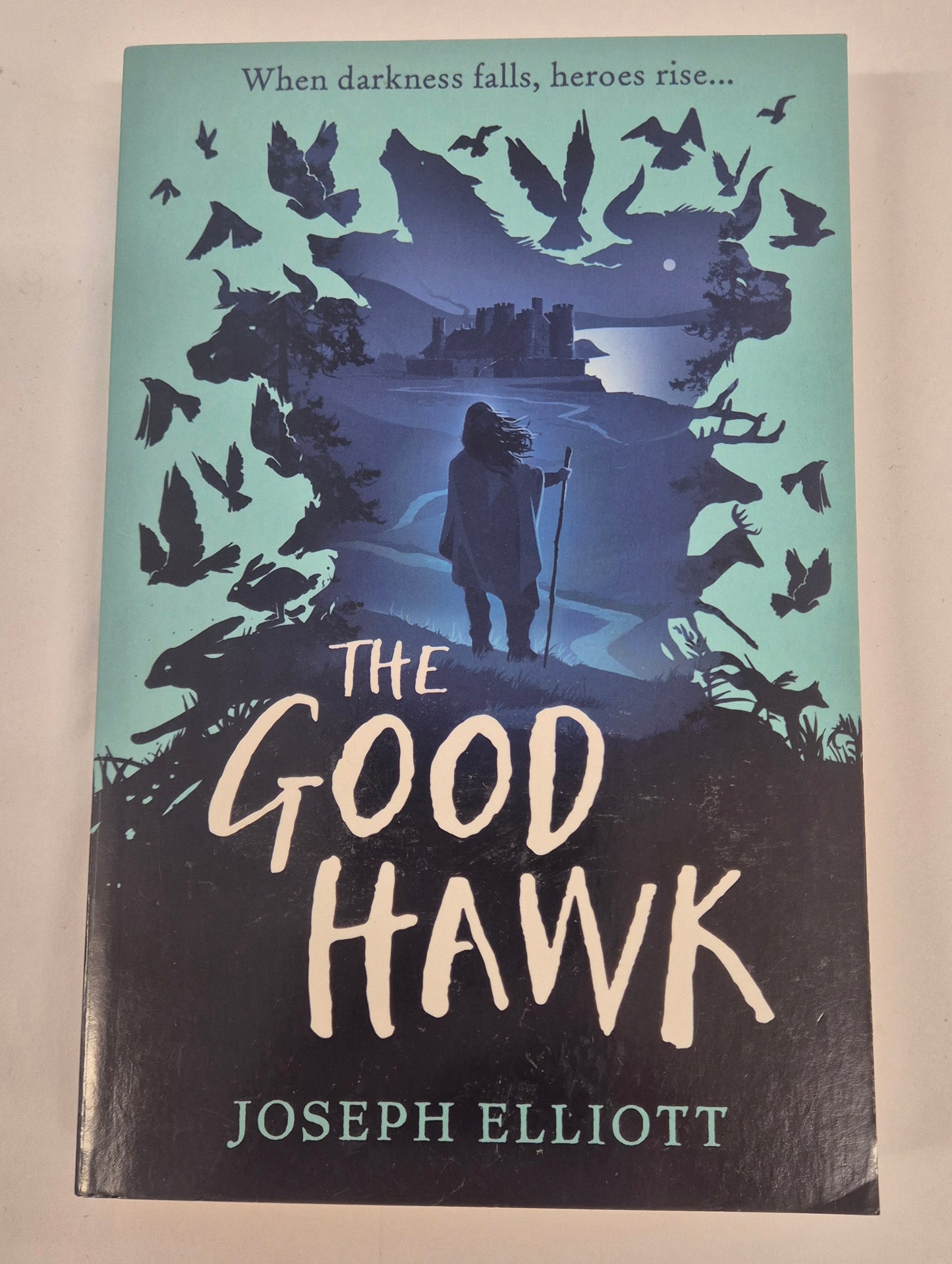The Good Hawk (Shadow Skye #1) by Joseph Elliott