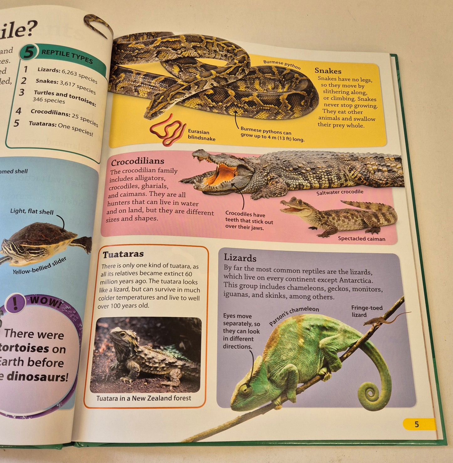 Findout! Reptiles and Amphibians by Chris Mattison