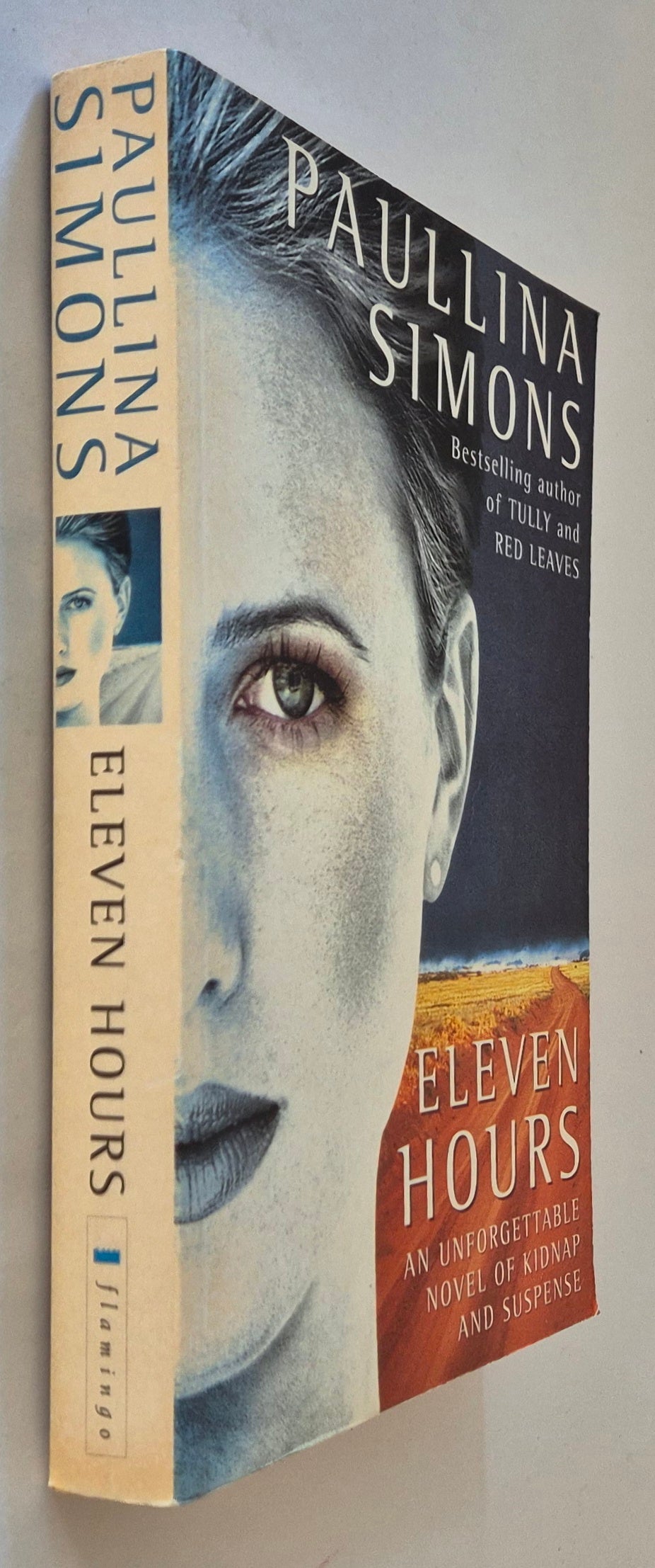 Eleven Hours by Paullina Simons