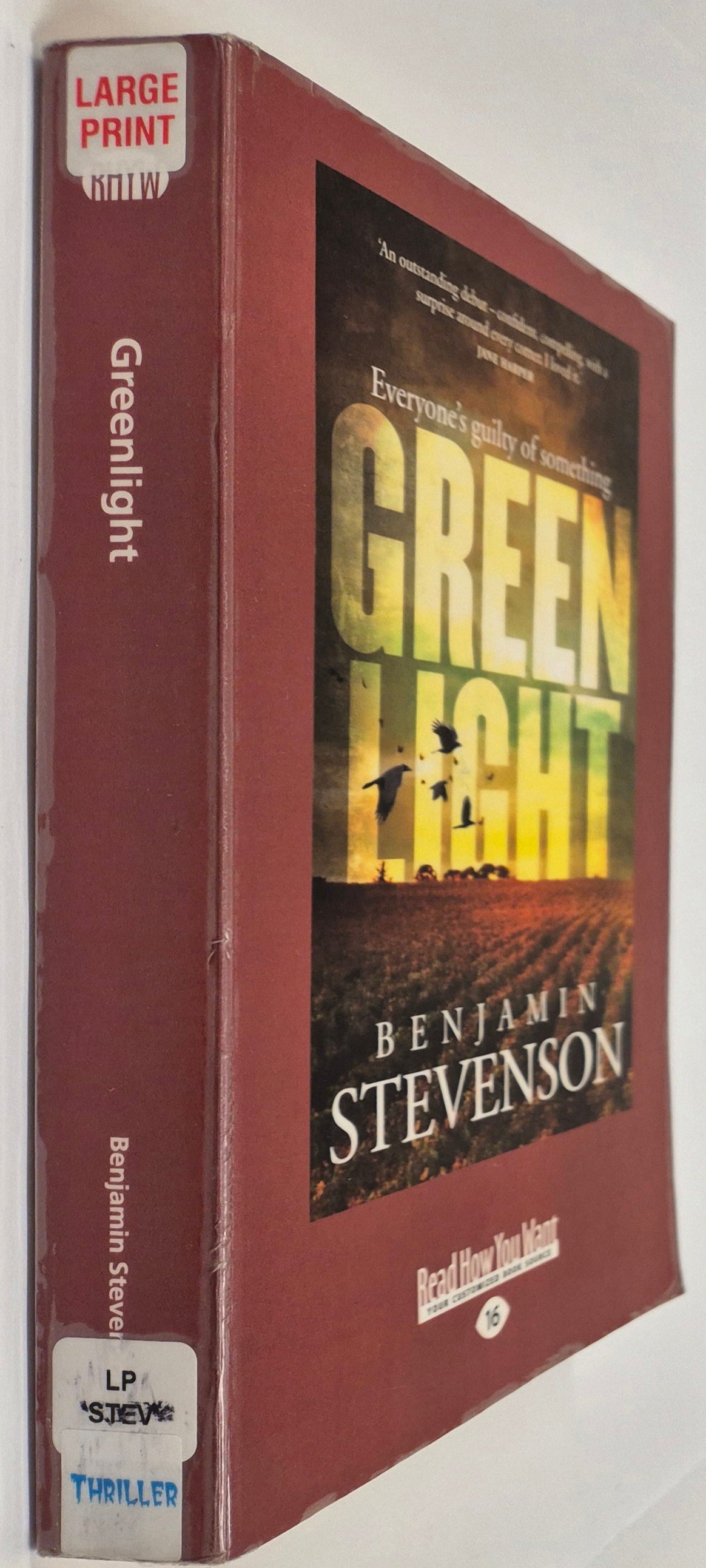 Green Light (Jack Quick #1) by Benjamin Stevenson (Large Print)