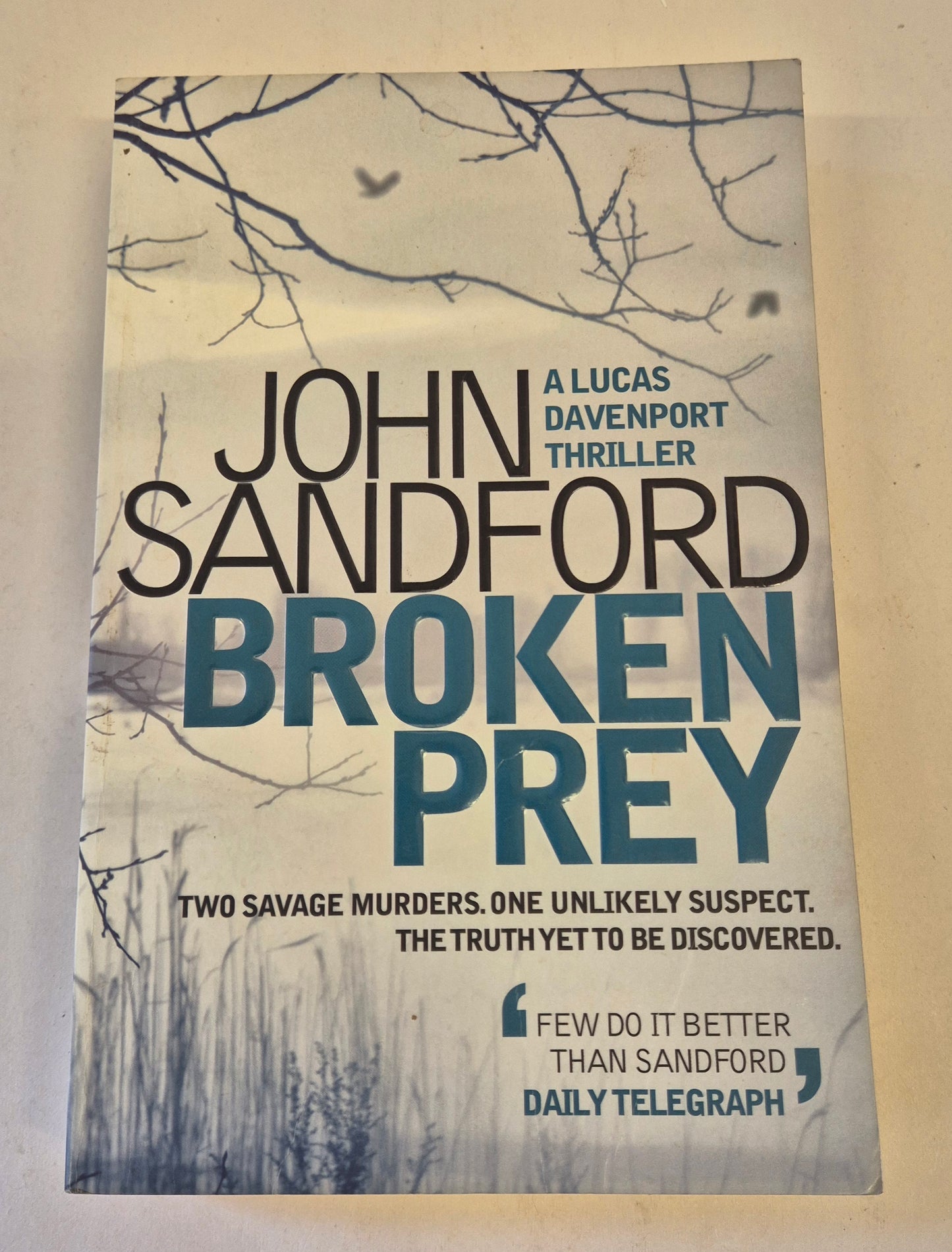 Broken Prey (Lucas Davenport #16) by John Sandford
