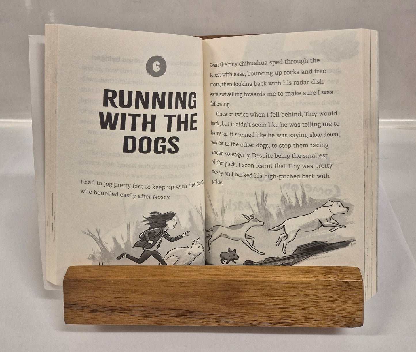 Into The Wild (Wolf Girl #1) by Anh Do