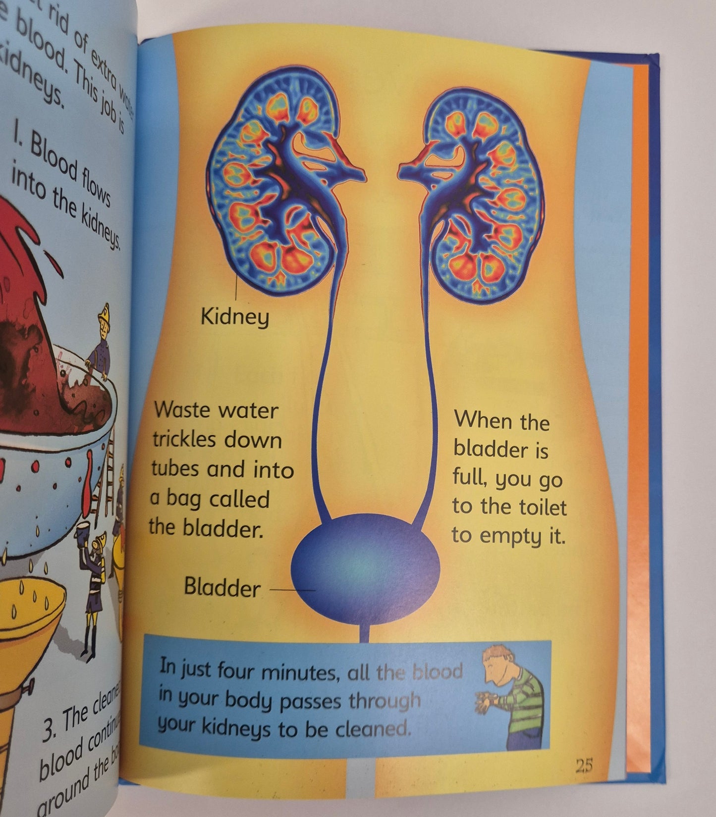 Your Body (Usborne Beginners) by Stephanie Turnbull