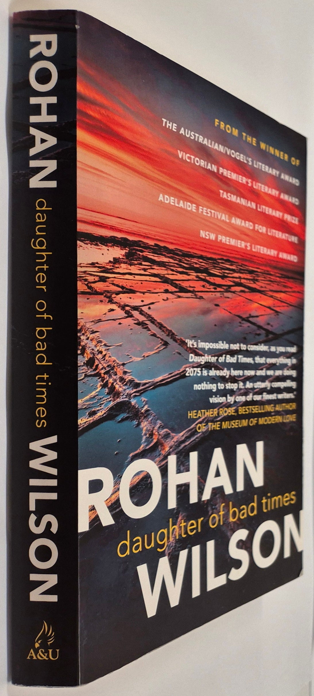 Daughter of Bad Times by Rohan Wilson