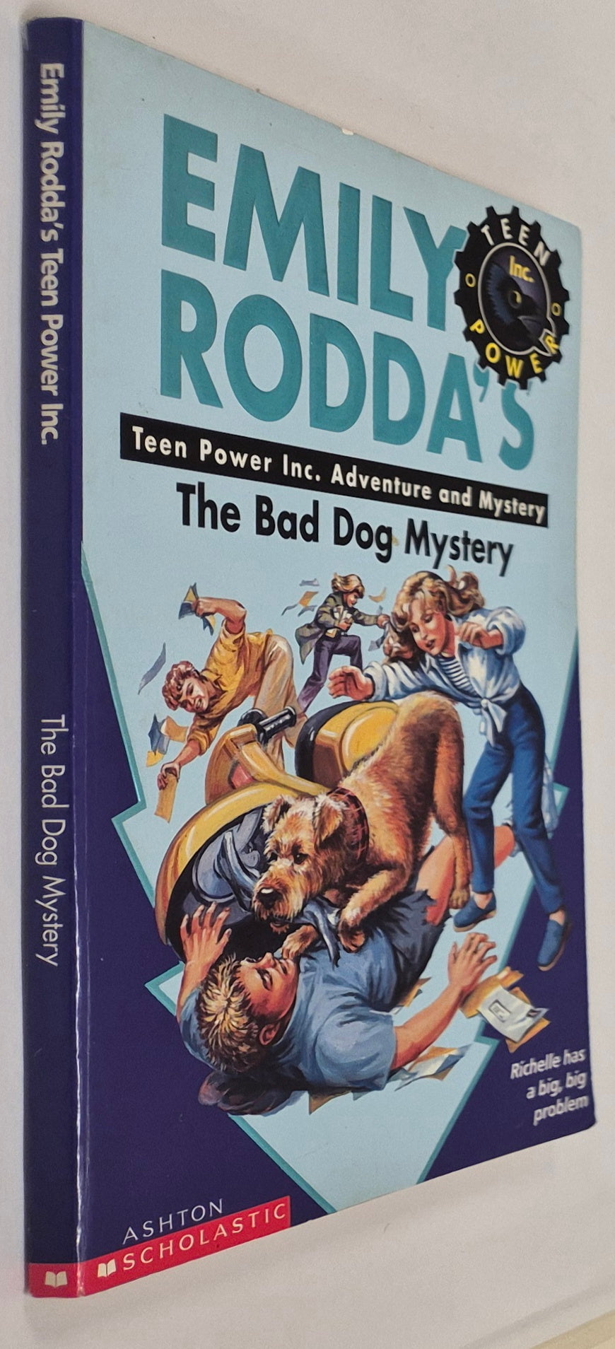 The Bad Dog Mystery (Raven Hill Mysteries #9) by Emily Rodda