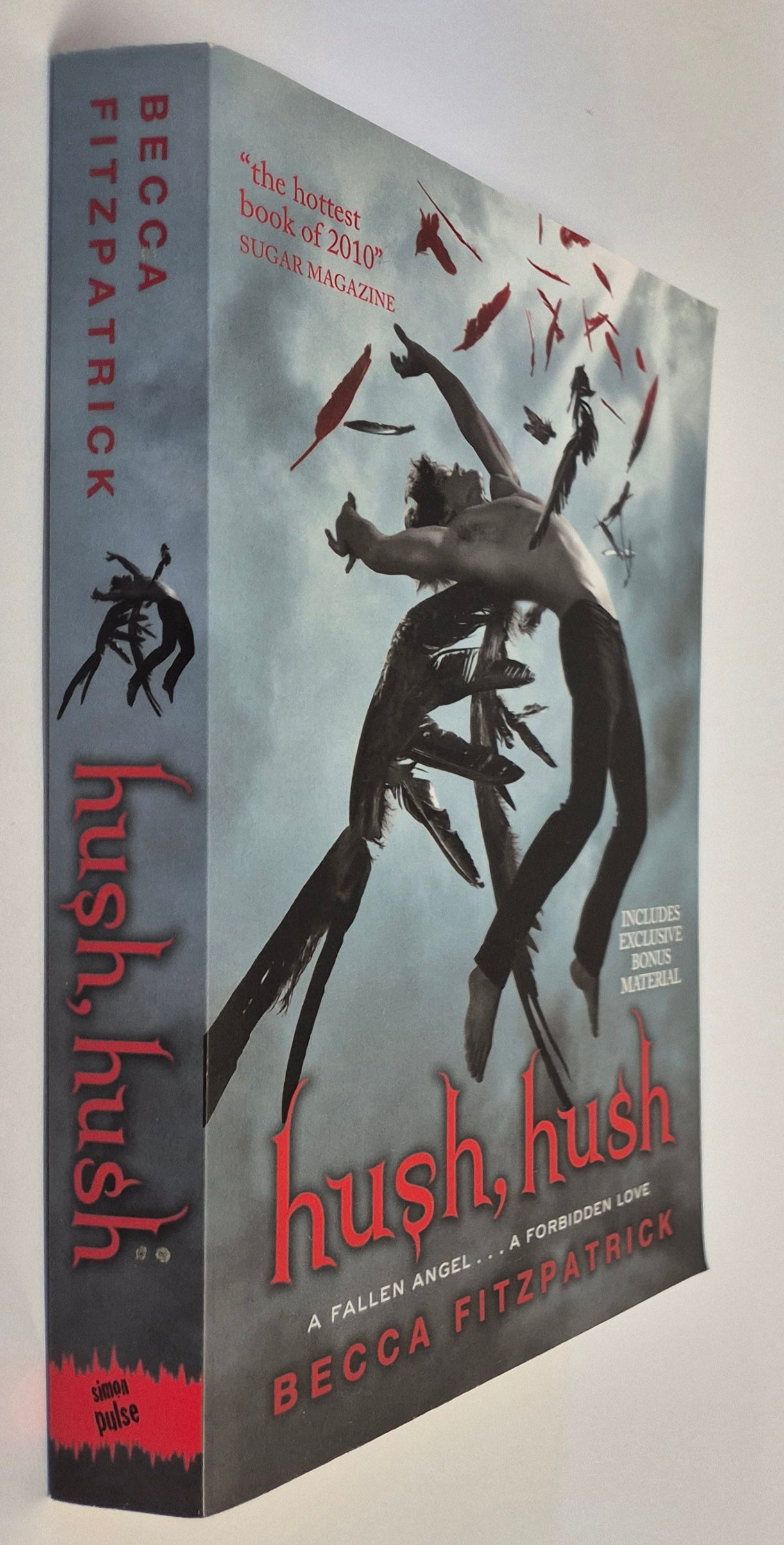 Hush, Hush (Hush, Hush #1) by Becca Fitzpatrick