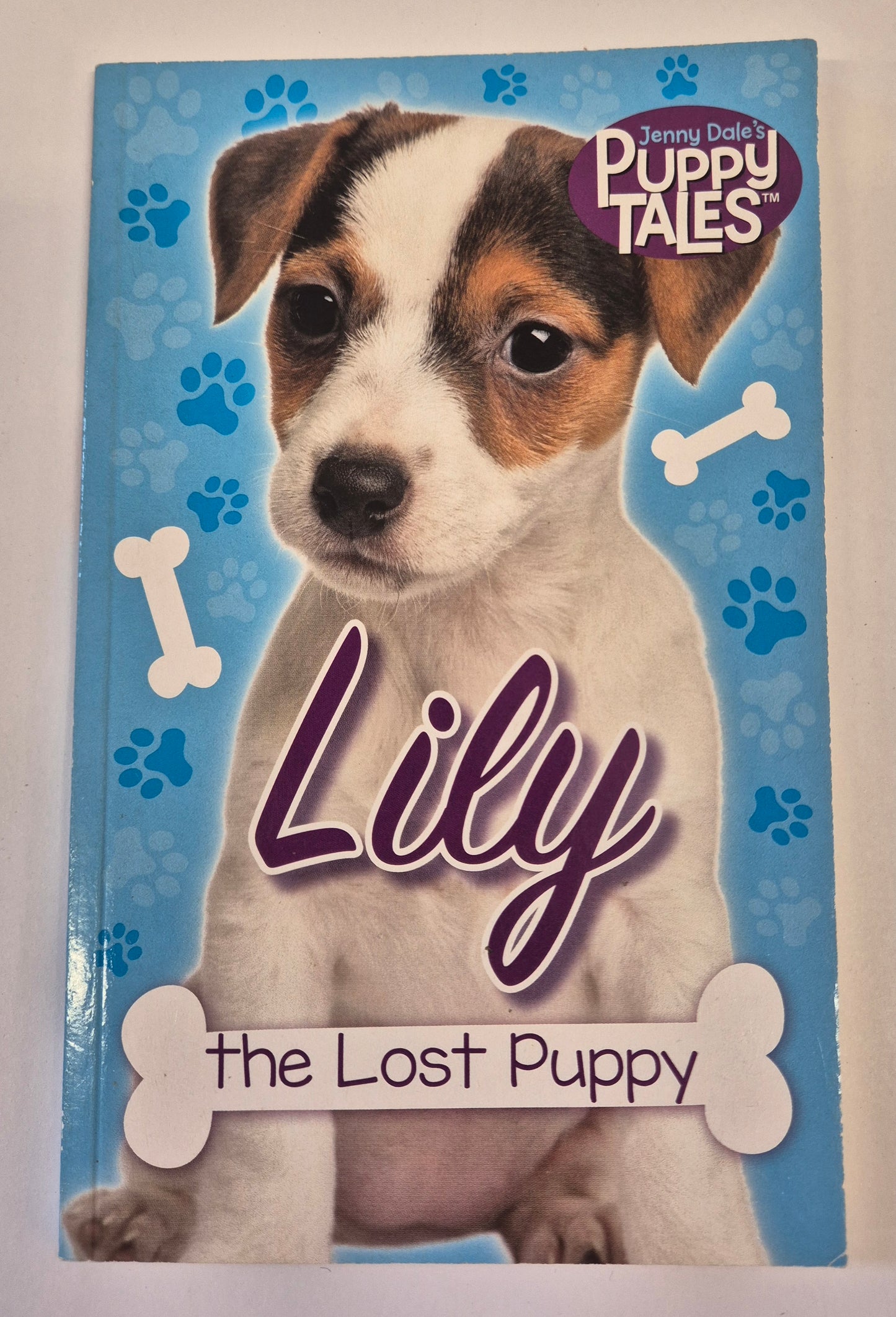 Lily the Lost Puppy (Puppy Friends #2) by Jenny Dale