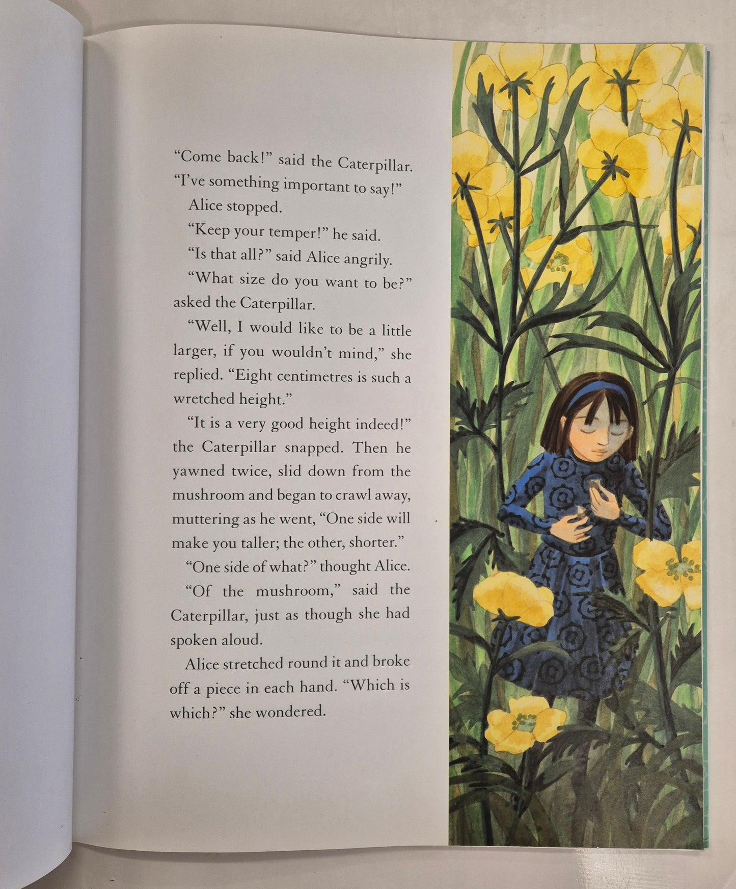 Alice in Wonderland by Emma Chichester Clark