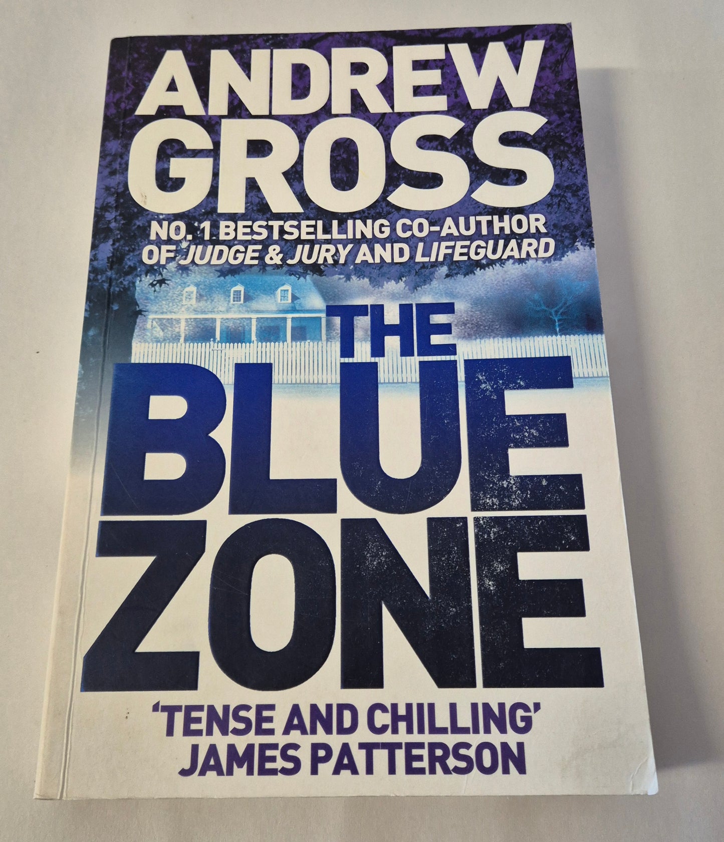 The Blue Zone by Andrew Gross