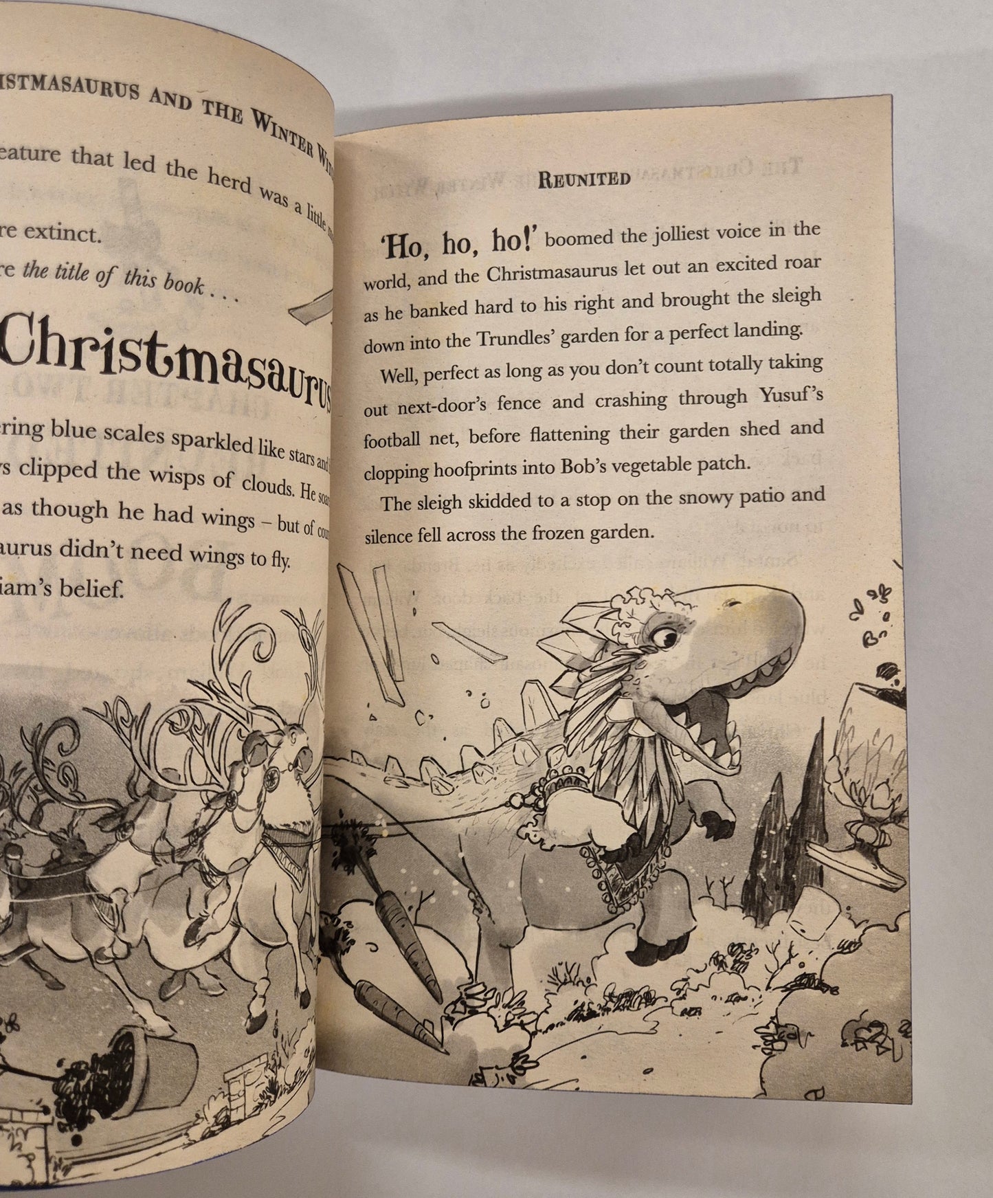 The Christmasaurus and the Winter Witch (The Christmasaurus #2) by Tom Fletcher