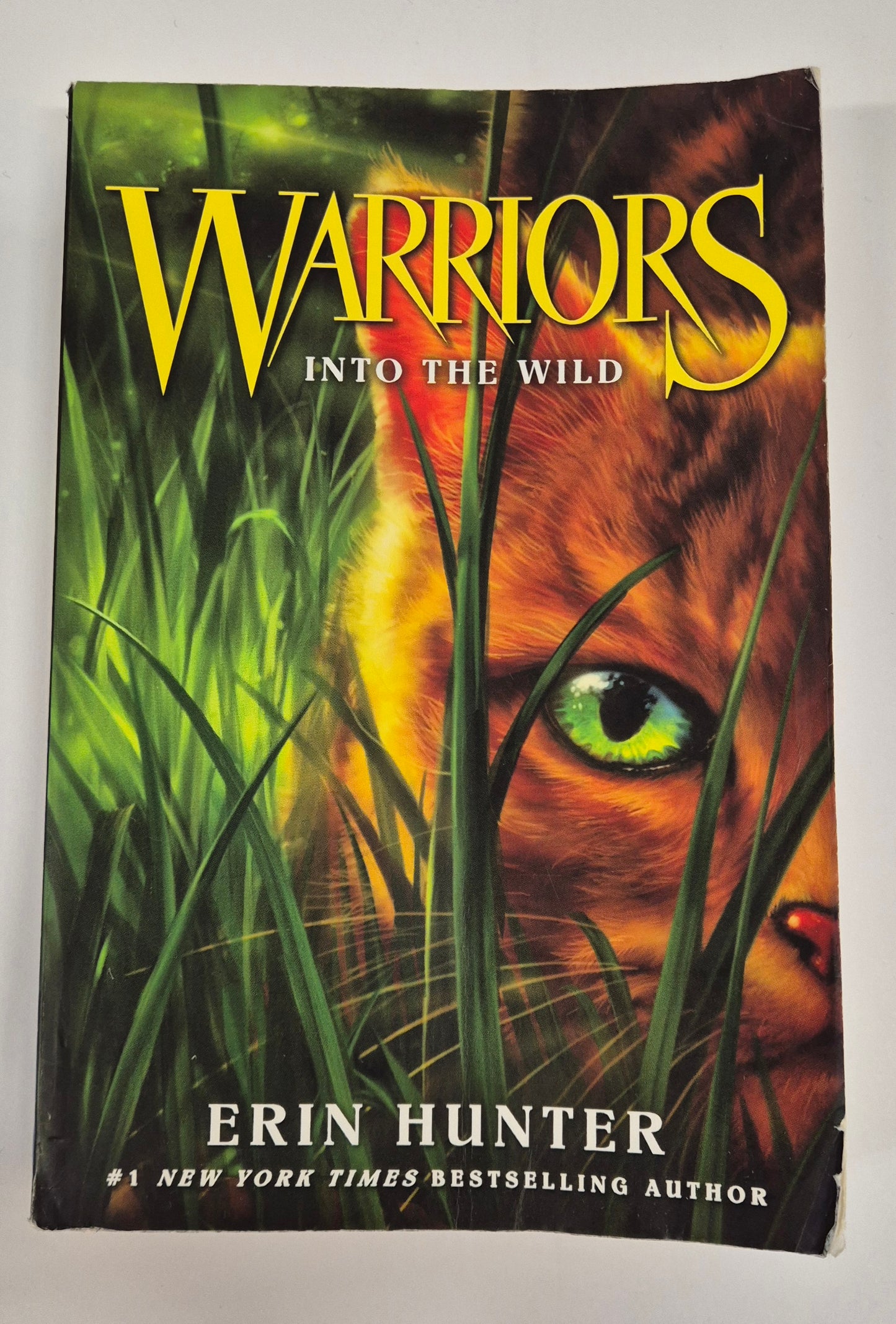 Into the Wild (Warriors: The Prophecy Begins #1) by Erin Hunter