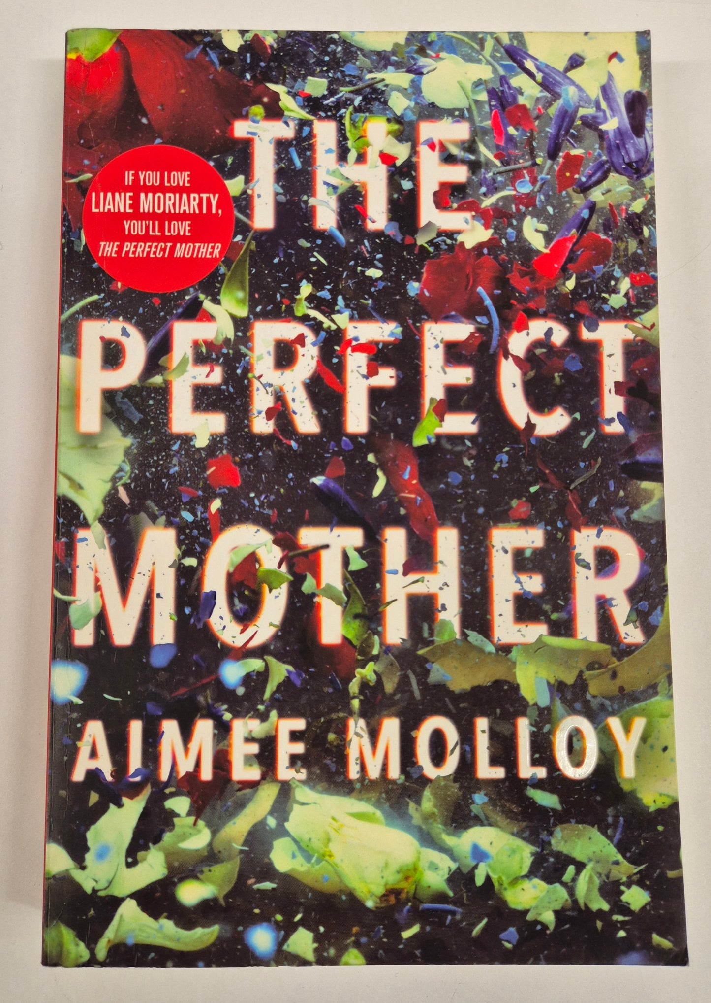 The Perfect Mother by Aimee Molloy