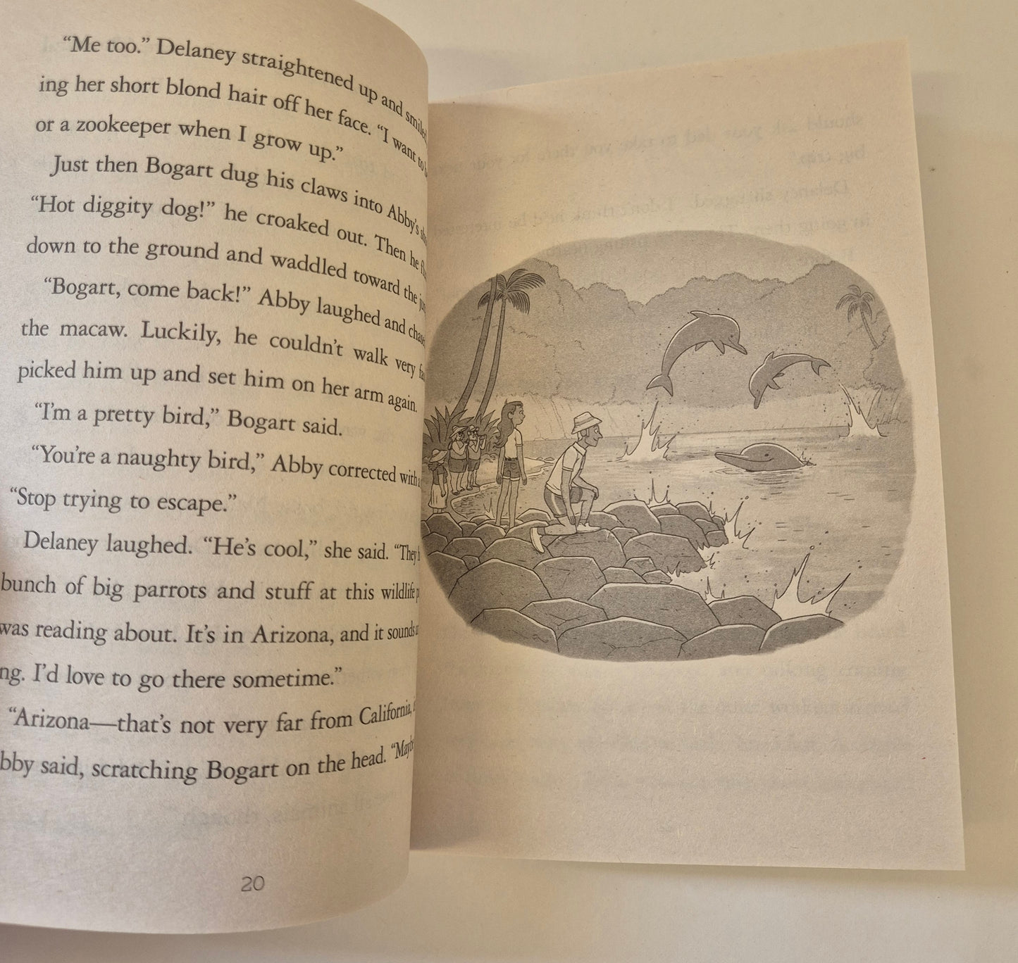 Lost in the Storm (Dolphin Island #2) by Catherine Hapka