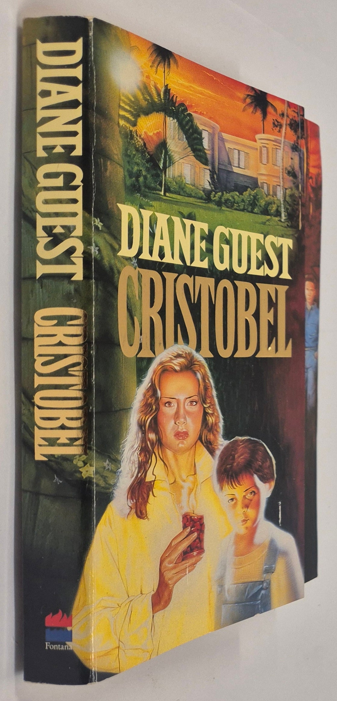 Cristobel by Diane Guest