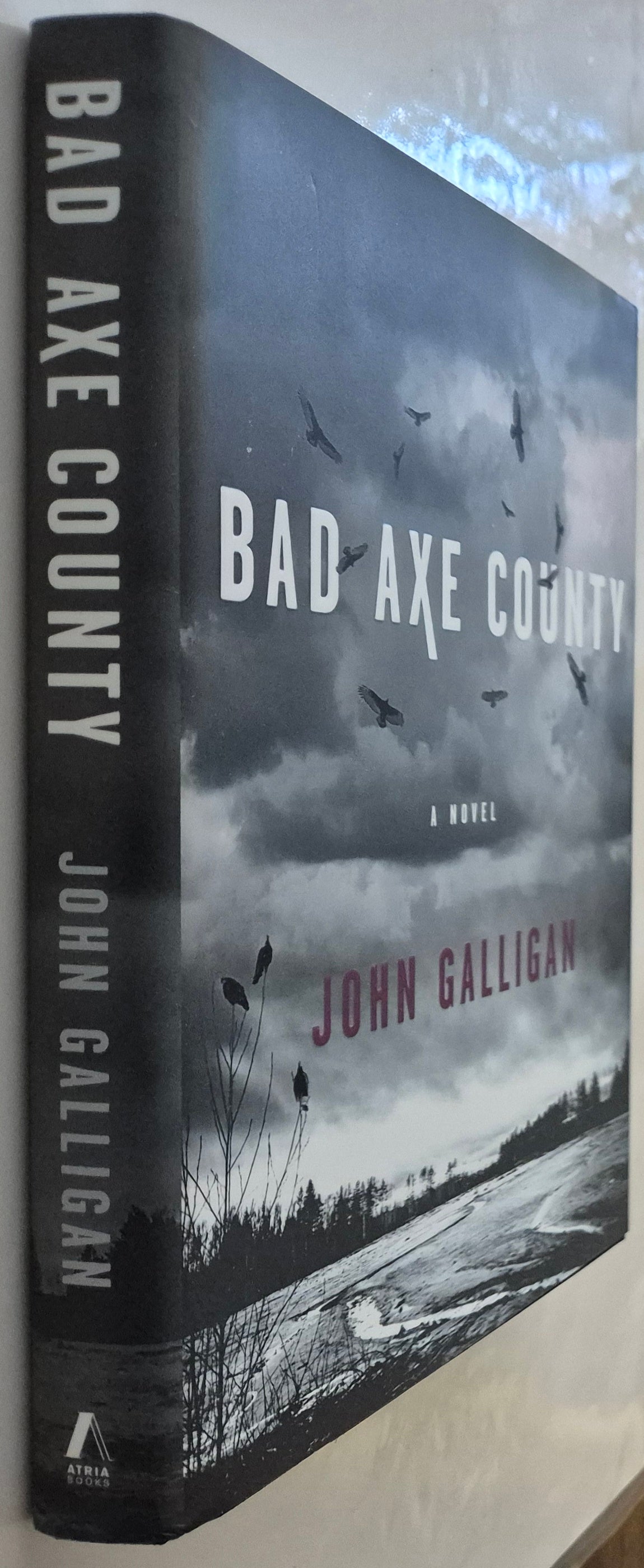 Bad Axe County (Bad Axe County #1) by John Galligan