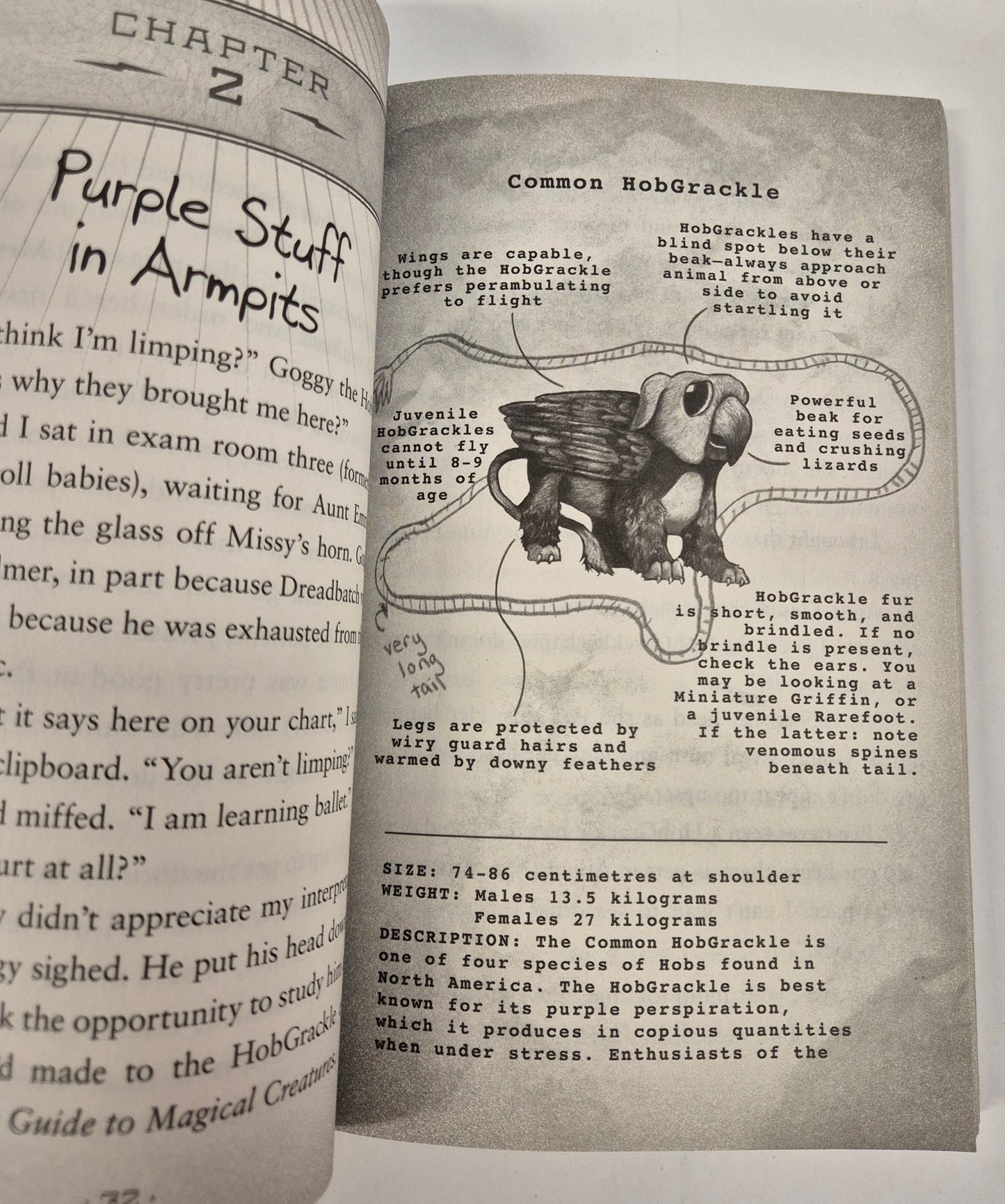 Pip Bartlett's Guide to Magical Creatures (Pip Bartlett #1) by Jackson Pearce