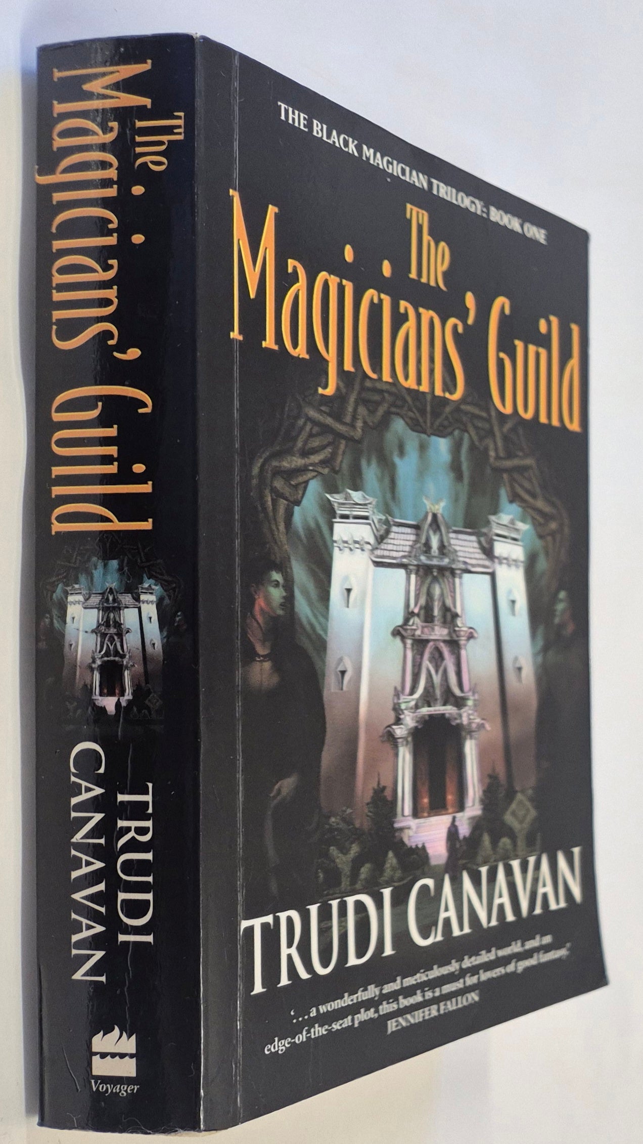 The Magicians' Guild (The Black Magician Trilogy #1) by Trudi Canavan