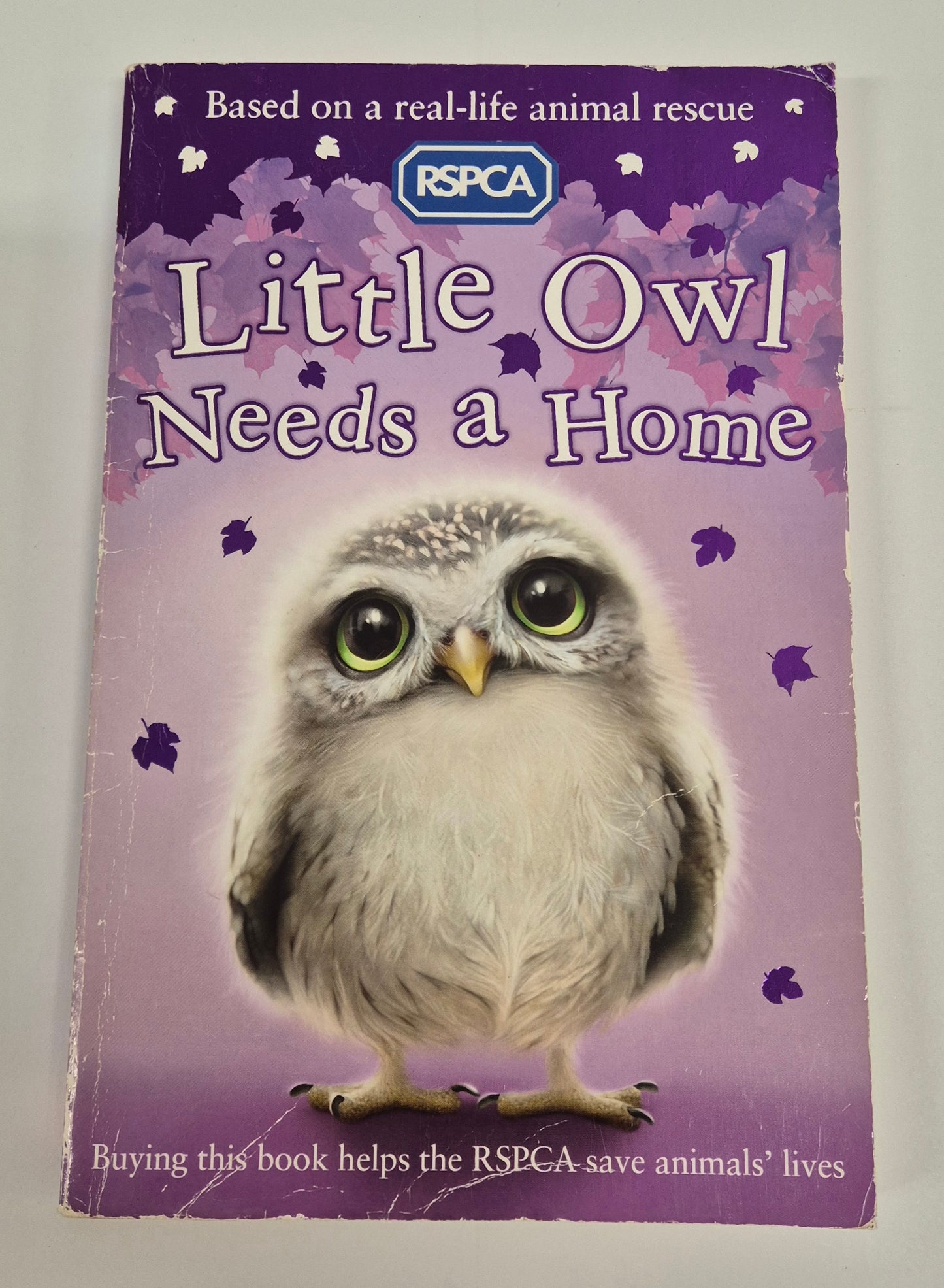 Little Owl Needs a Home (RSPCA #5) by Sue Mongredien