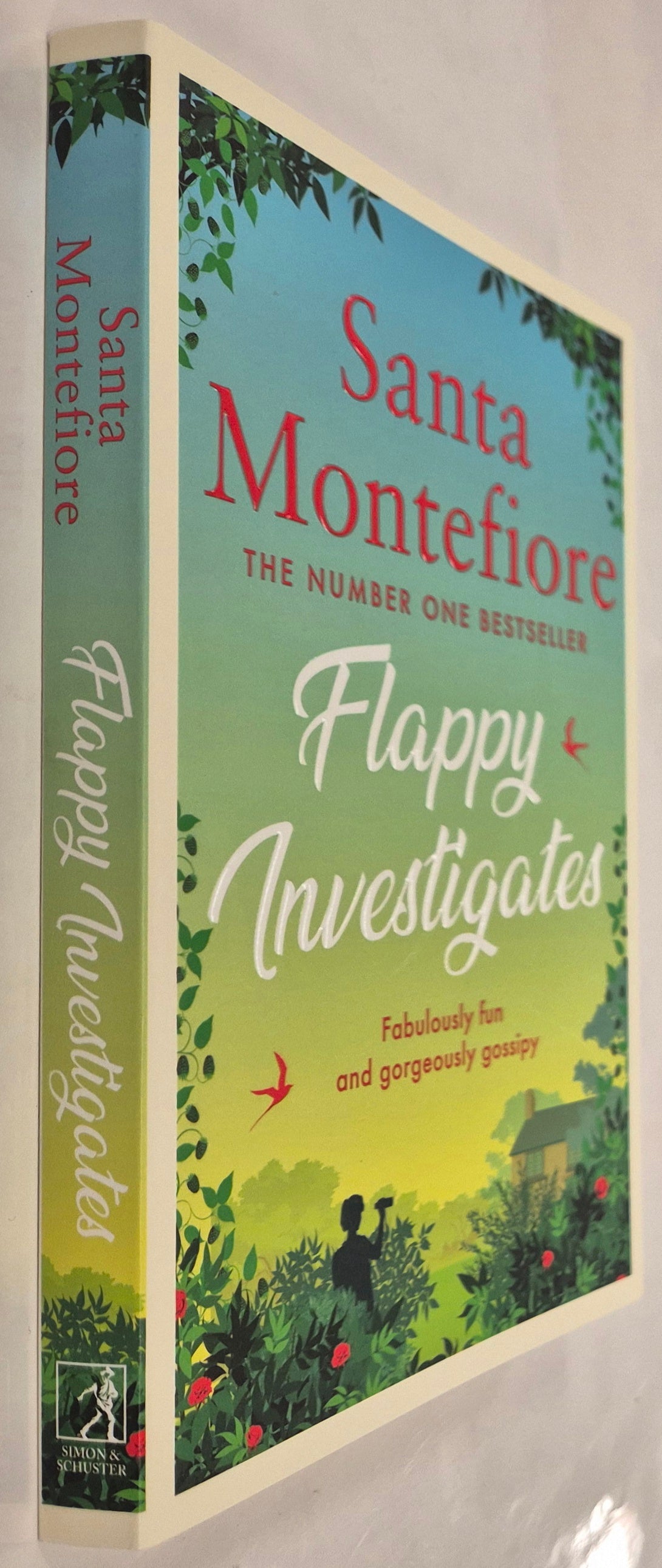 Flappy Investigations by Santa Montefiore
