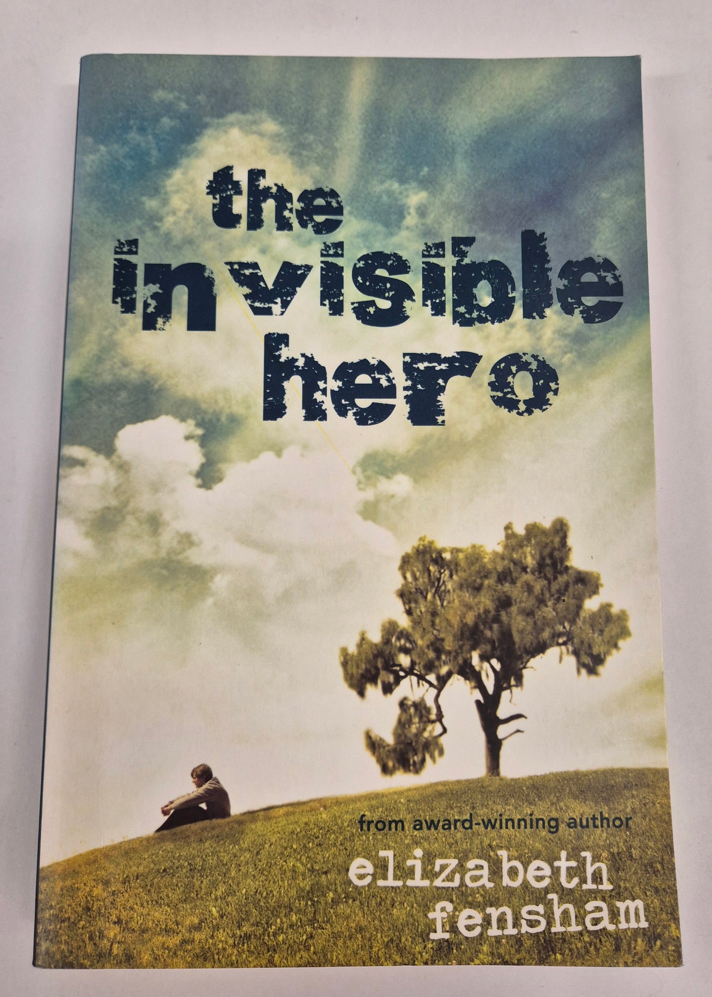 The Invisible Hero by Elizabeth Fensham