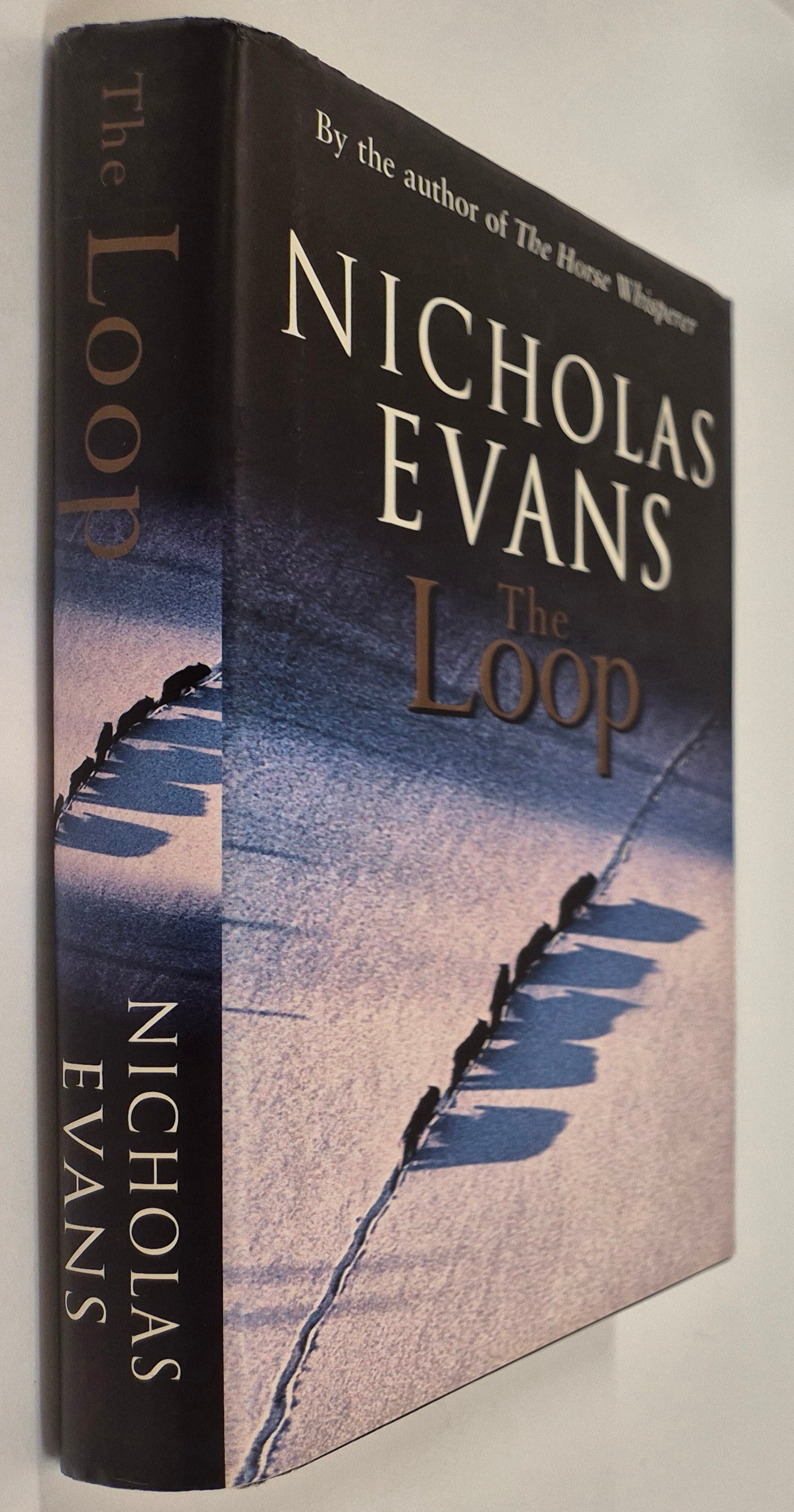 The Loop by Nicholas Evans