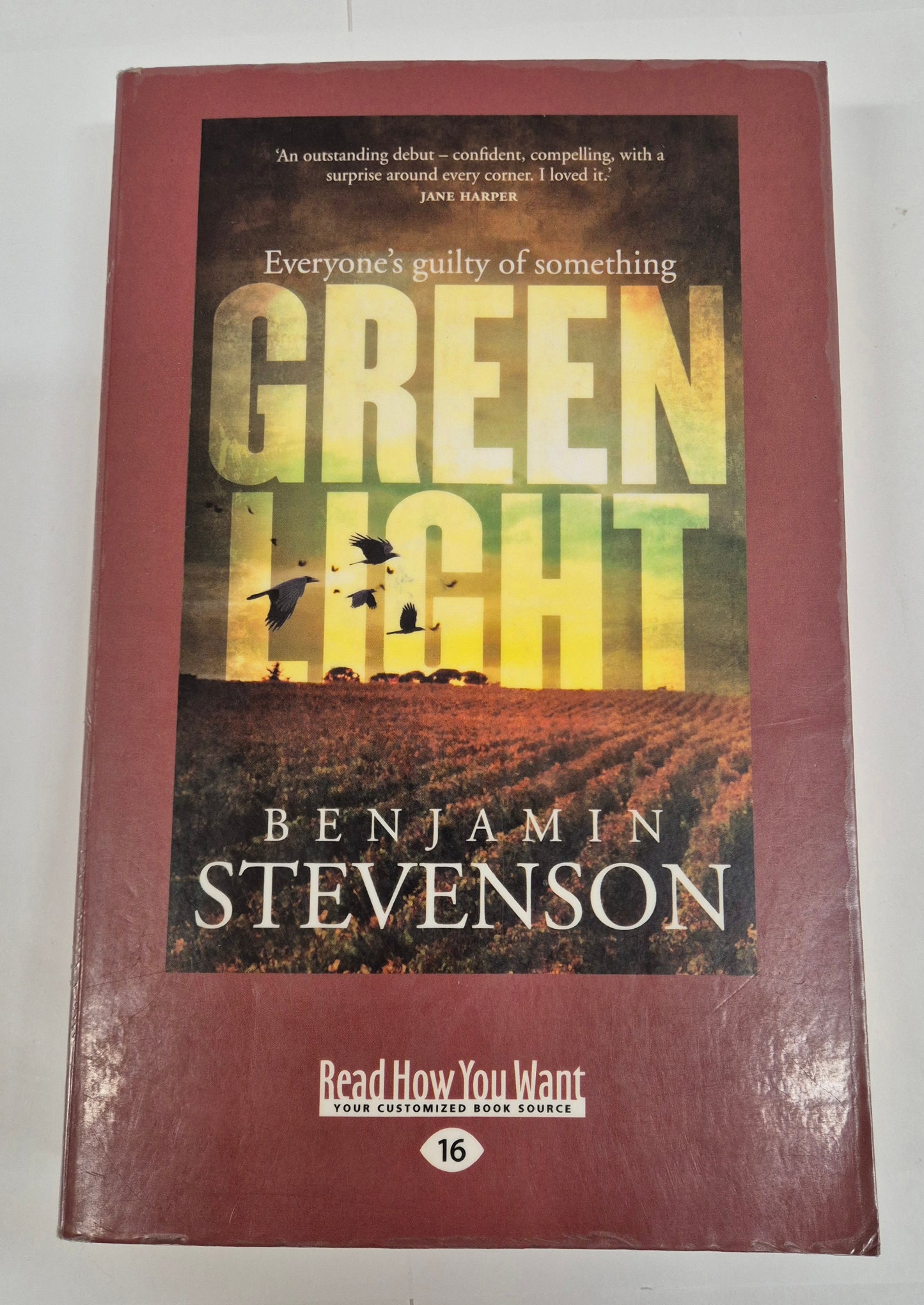 Green Light (Jack Quick #1) by Benjamin Stevenson (Large Print)
