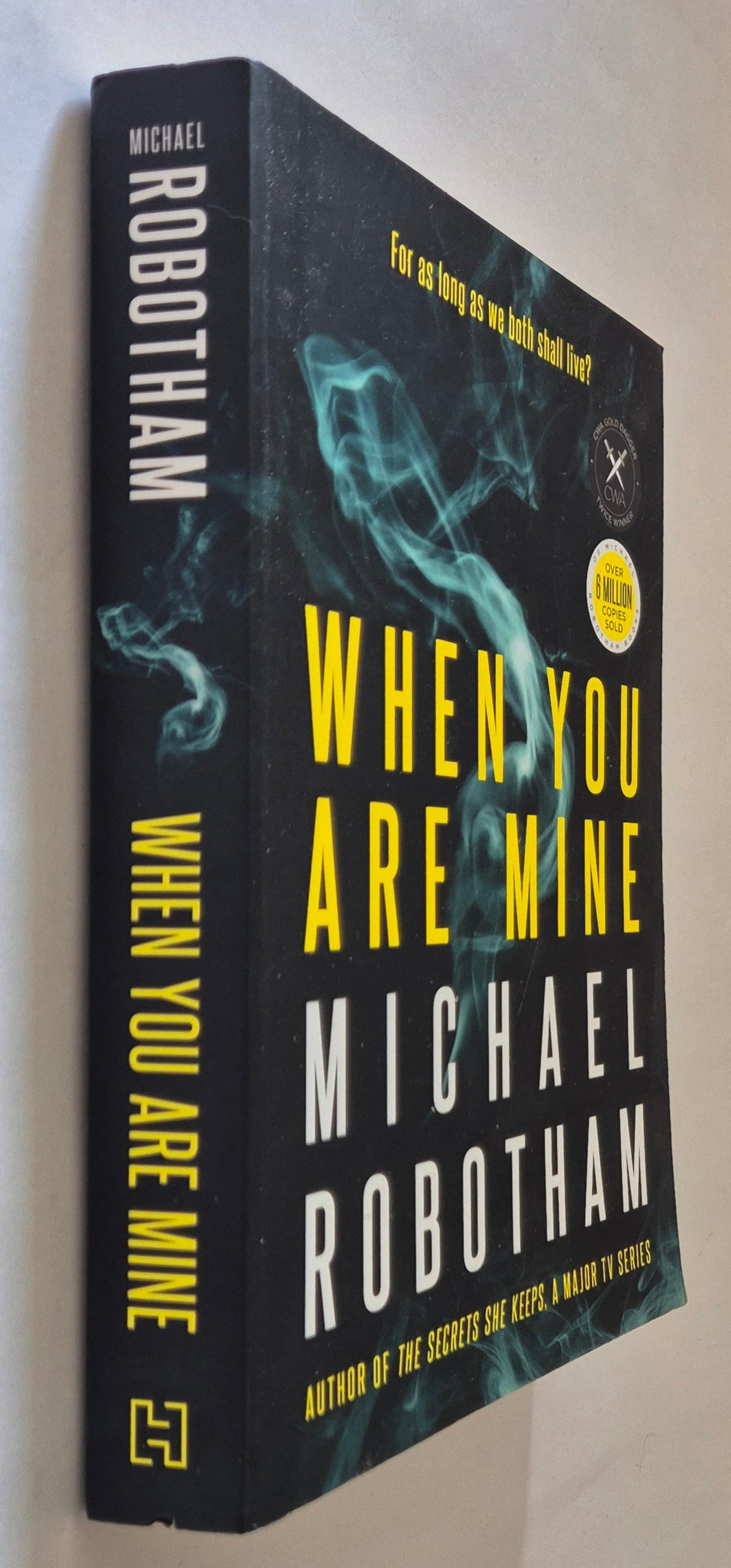 When You Are Mine (Philomena McCarthy #1) by Michael Robotham