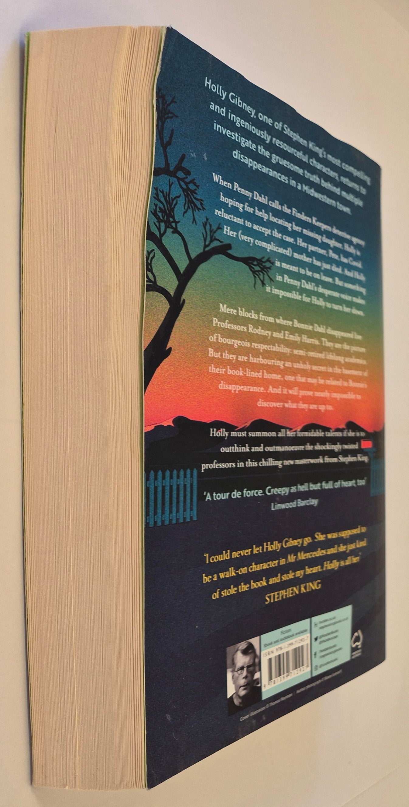 Holly (Holly Gibney #3) by Stephen King